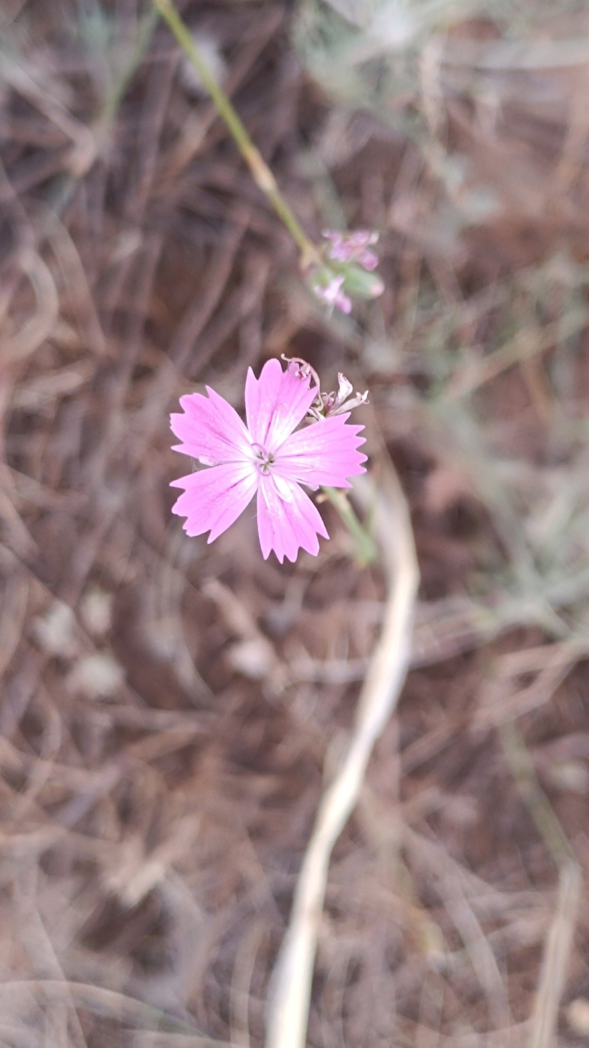 Читальный зал. Марина Рыбкина — Глубинная психология