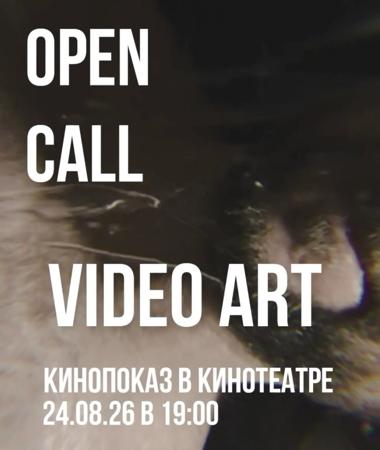 ARTEXPOPHOTO