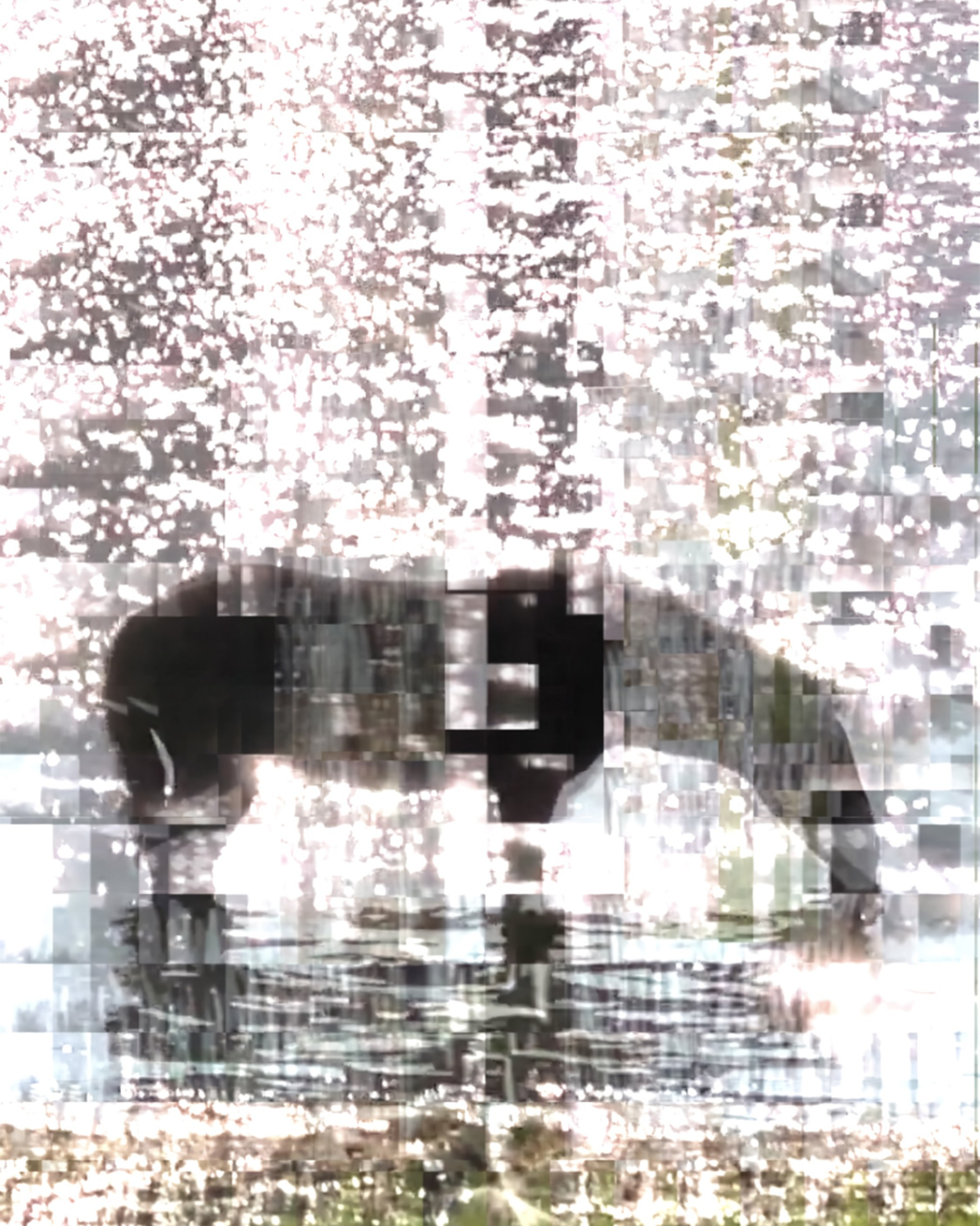 MEMORY in NATURE | digital art gallery