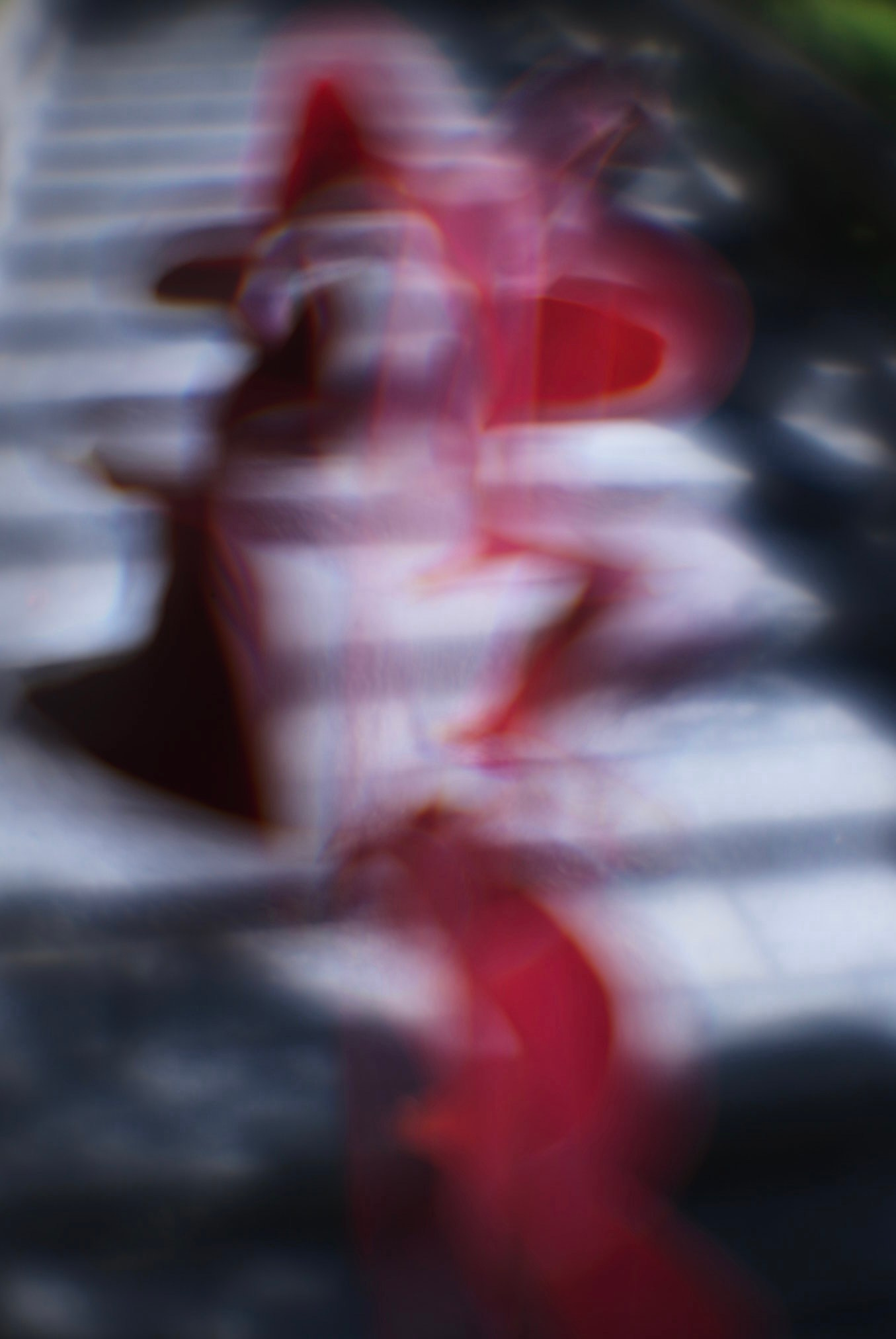 JAPAN DIGITAL. International visual artist