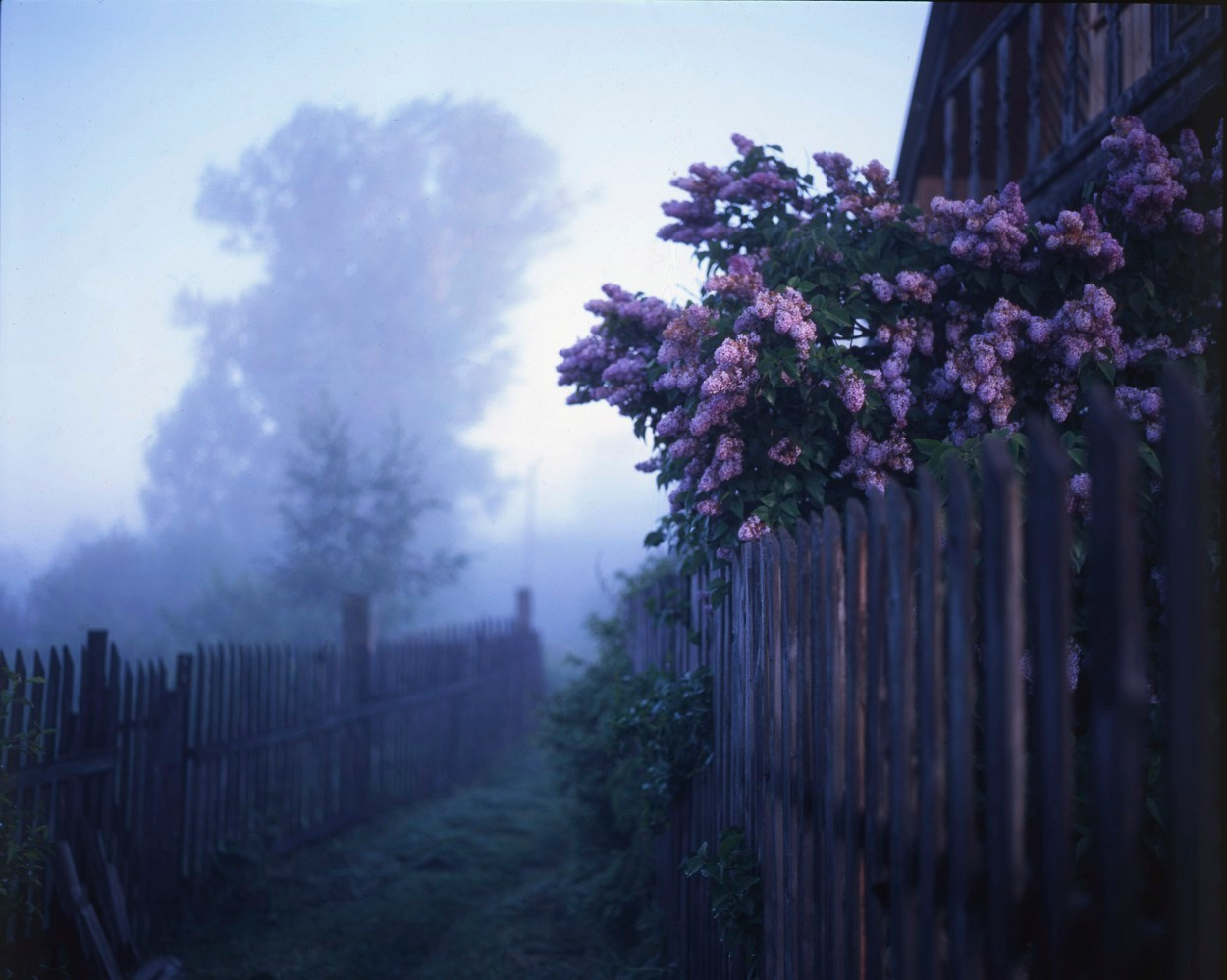 ВАДИМ ГИППЕНРЕЙТЕР — ВЕЛИКИЙ ФОТОГРАФ ЗЕМЛИ РУССКОЙ