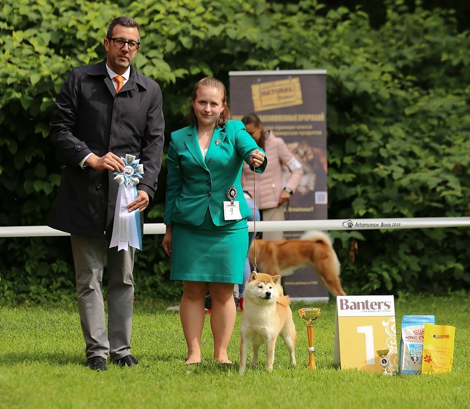 2019. SHIOMARU Shiba and Akita Inu Kennel