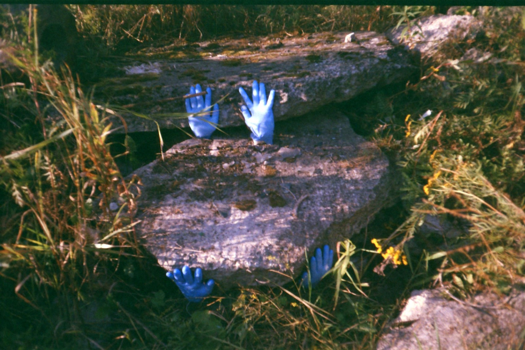 Красненькая биеннале 2023 (СПБ)