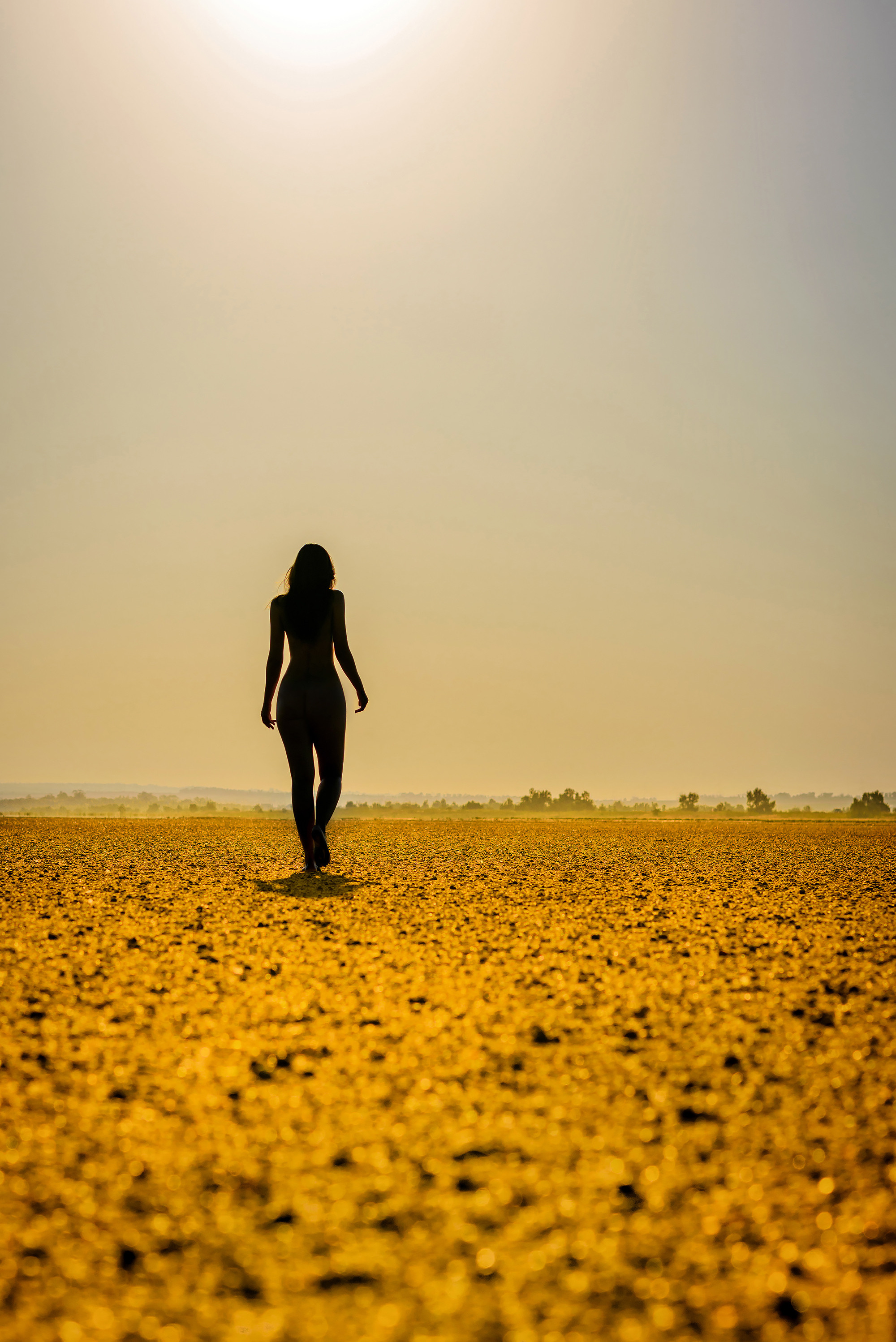 Работы, на дереве, холсте, стекле, которые можно приобрести. Яркие фото на Чёрном море