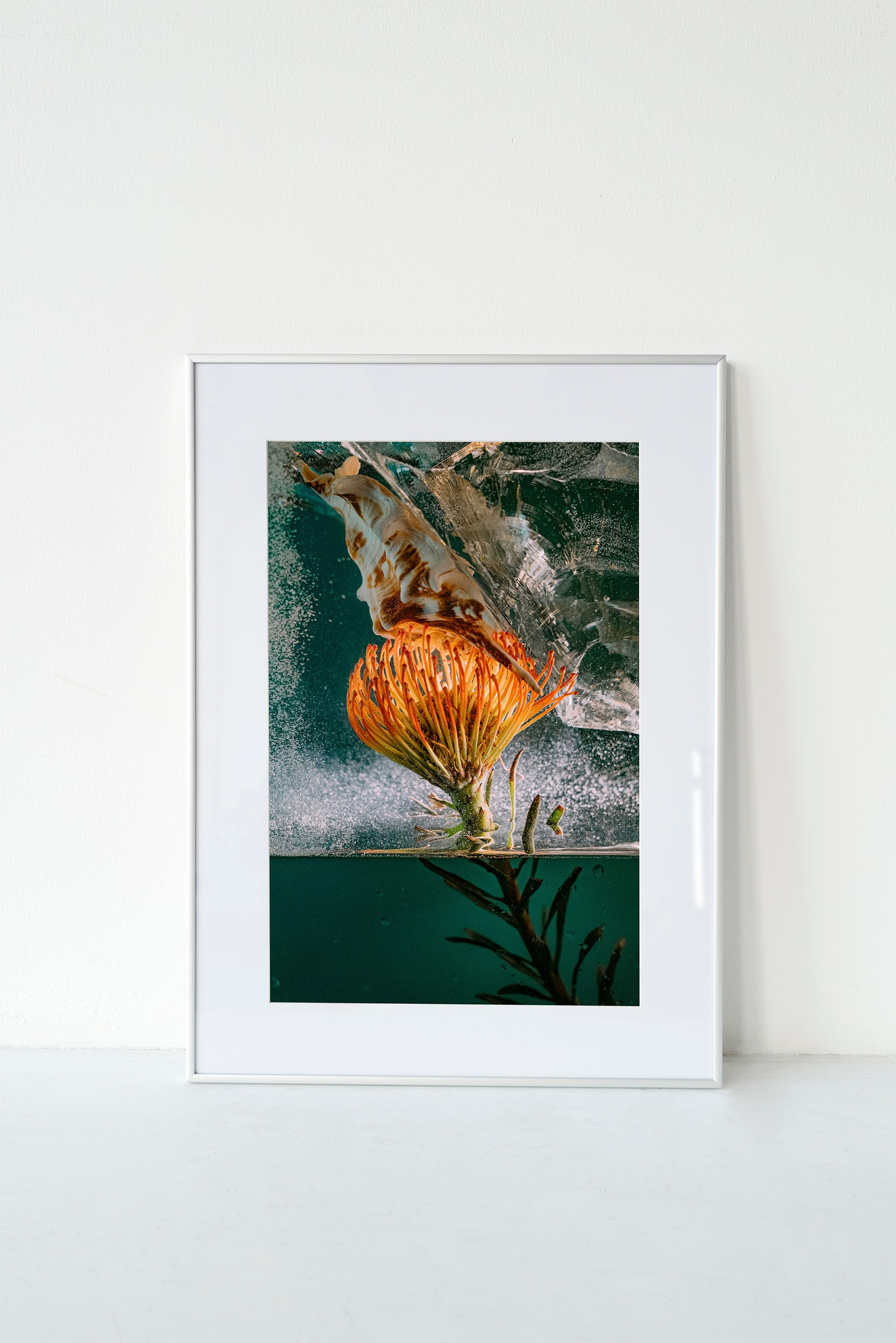 Фотографии с оформлением. ИНфото. Авторские фотографии для интерьеров