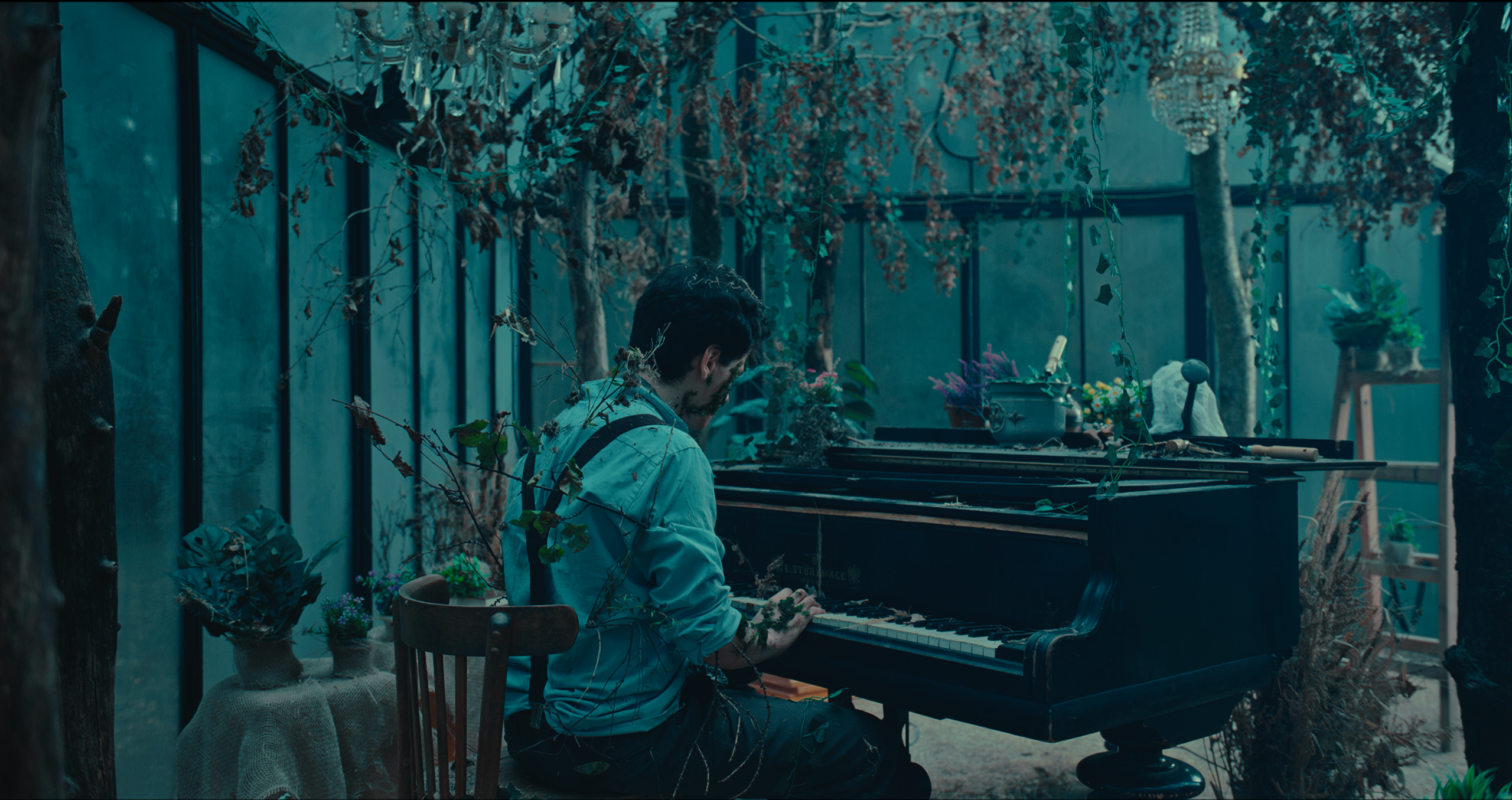 Stills. Alexey Korobko