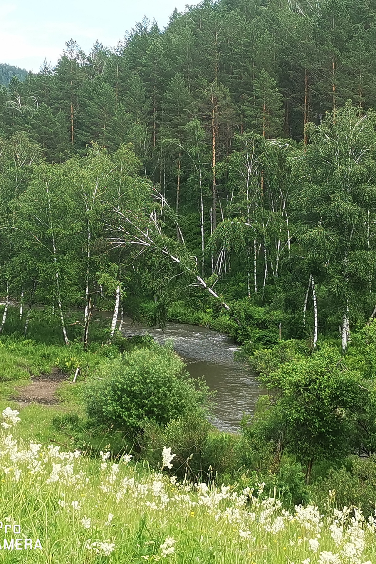 Банк земельных участков Алтая