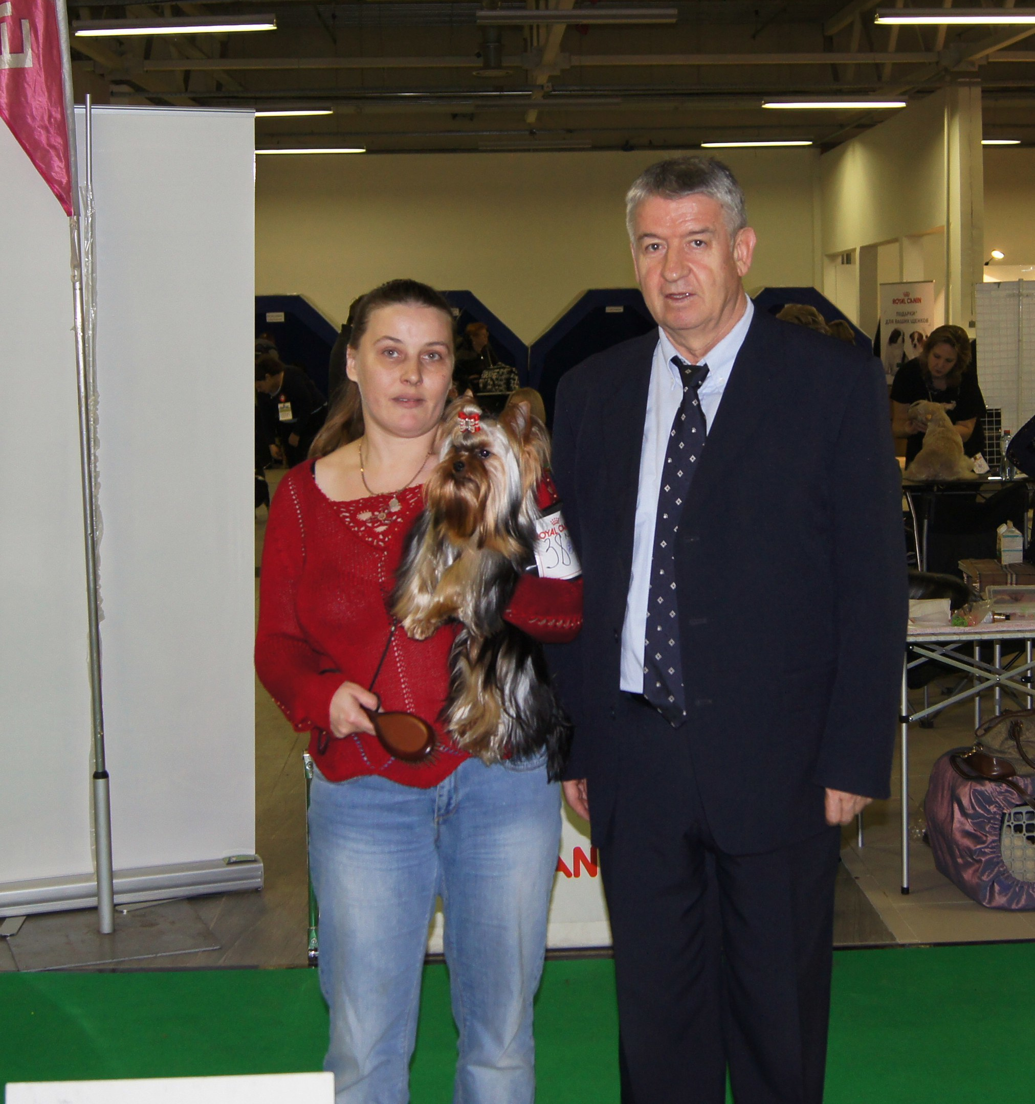 2015 г Результаты выставок. Питомник Йоркширских терьеров Дэнстайл в Санкт-Петербурге заводчик Тих