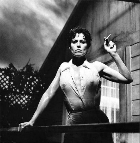 Helmut Newton. Выпускные альбомы, фотограф Денис Зимин в городе Ростове-на-Дону