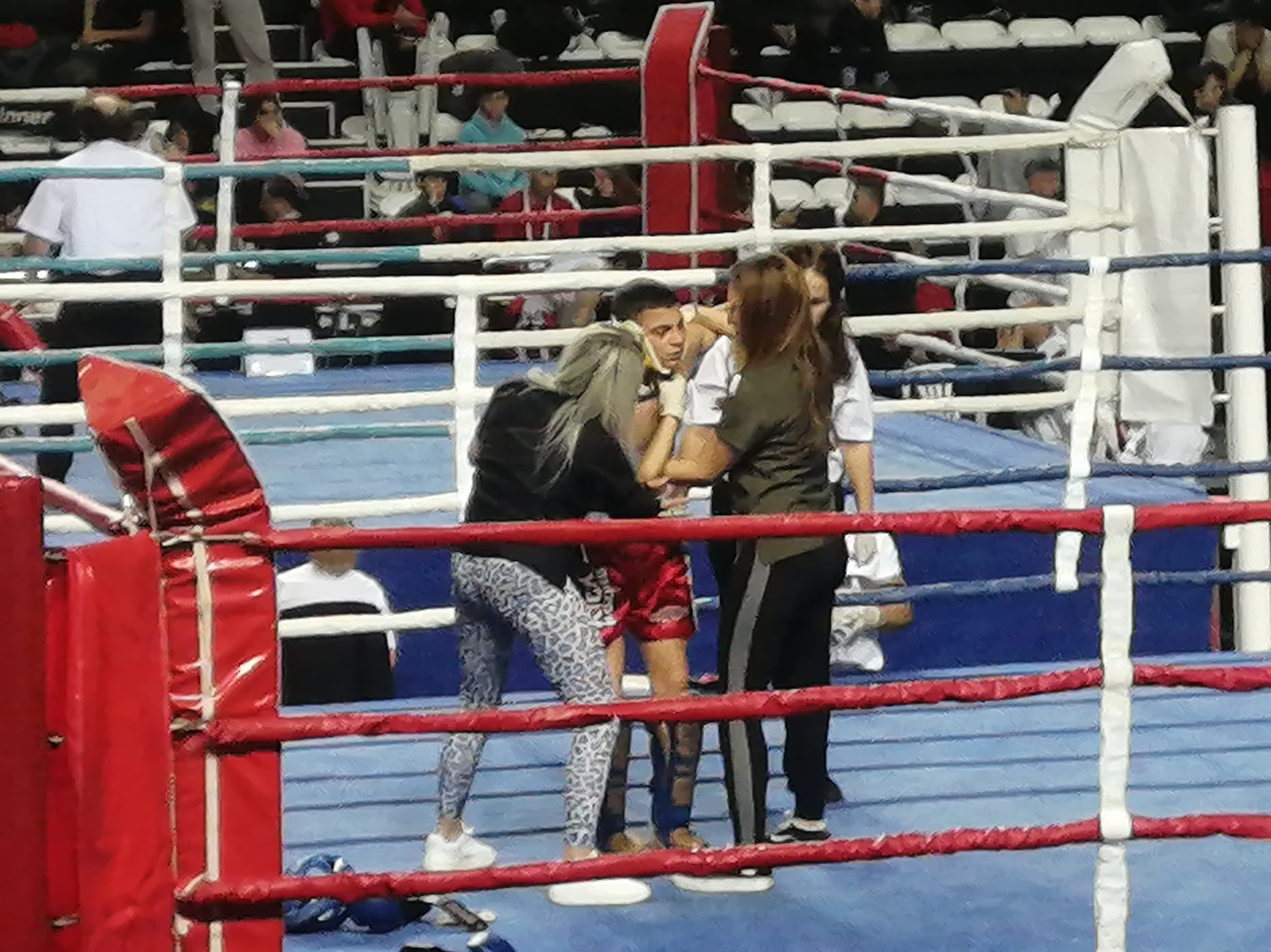 Рисунок телефона. Фотограф Екатерина Веденина