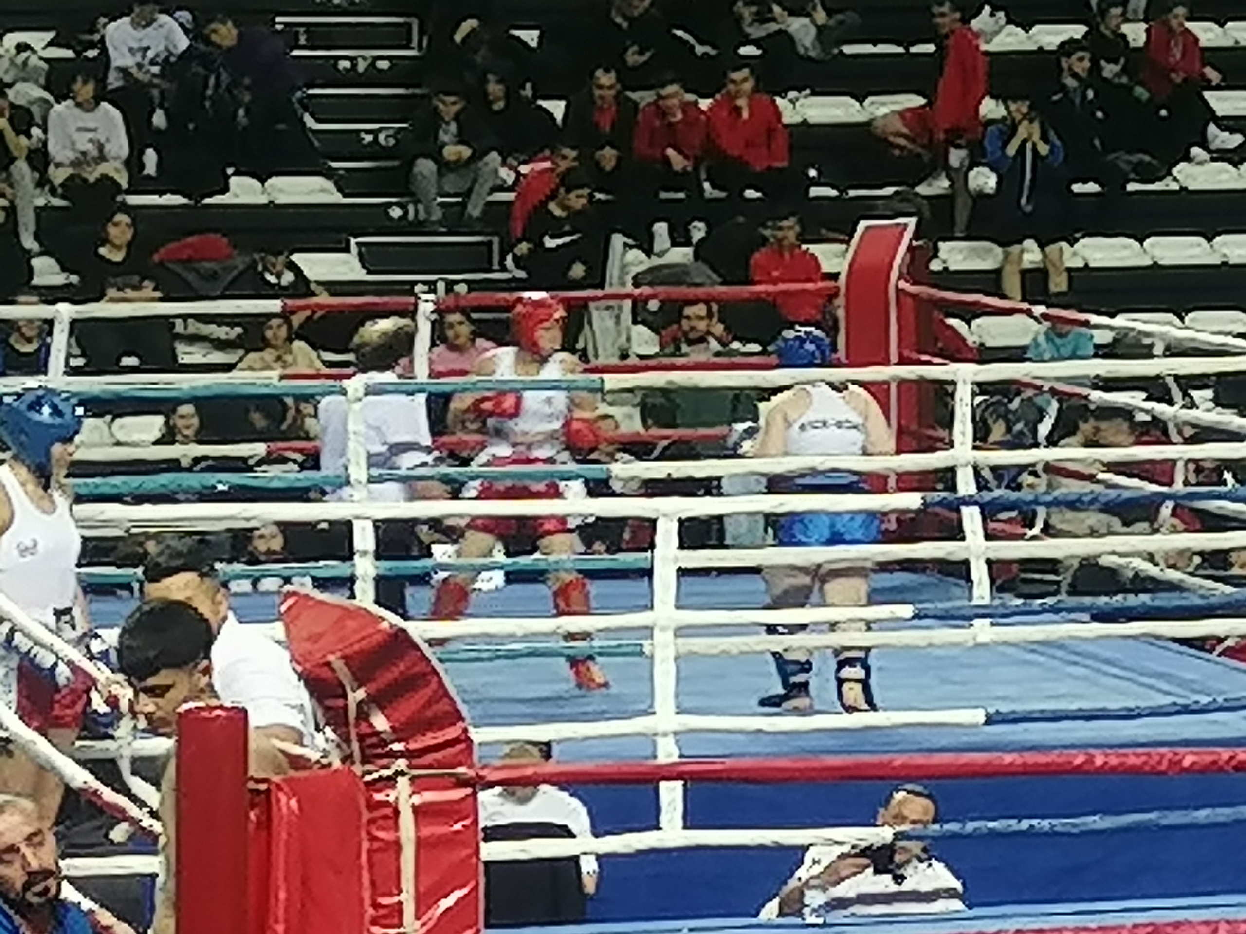 Рисунок телефона. Фотограф Екатерина Веденина