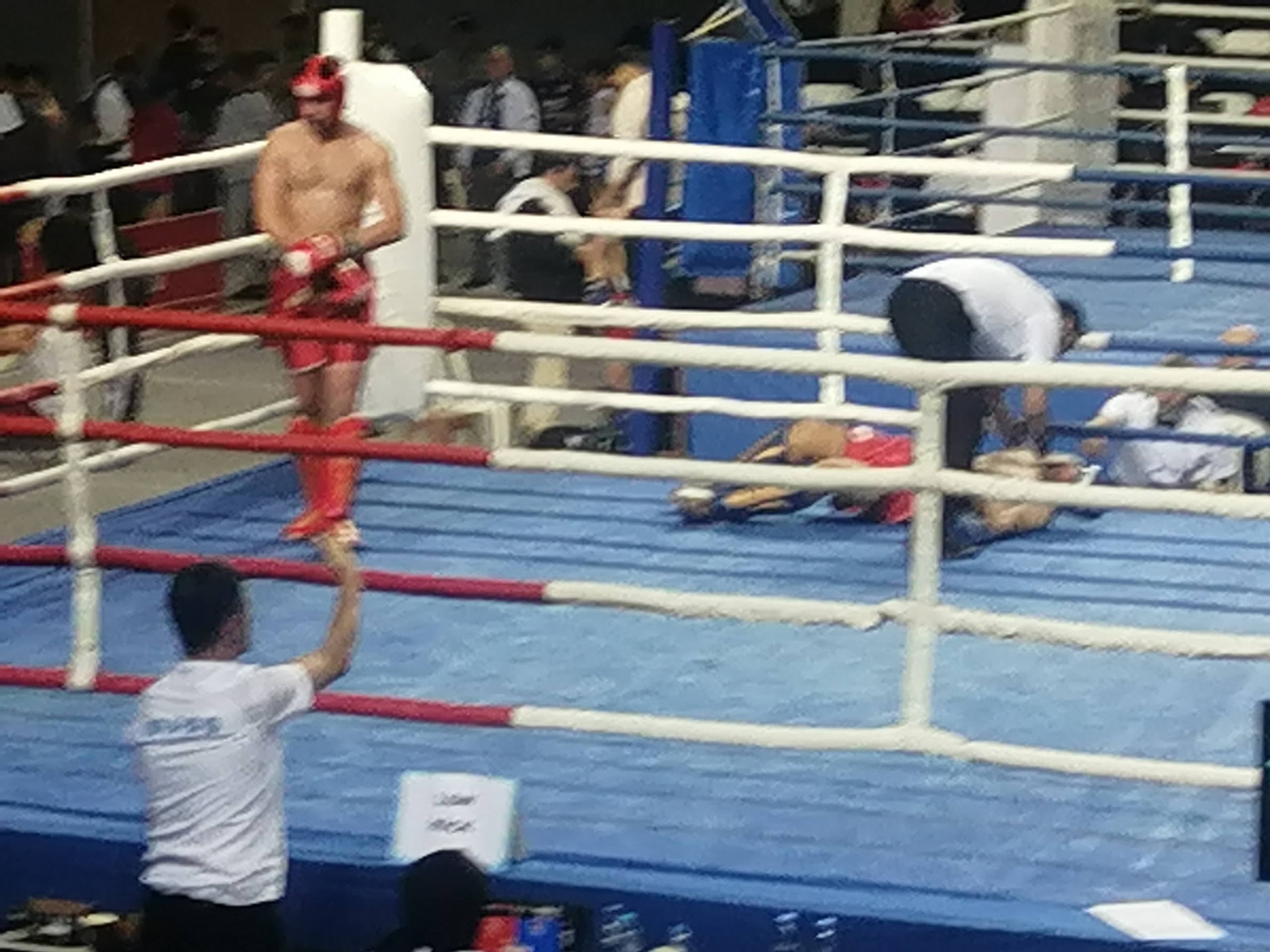 Рисунок телефона. Фотограф Екатерина Веденина