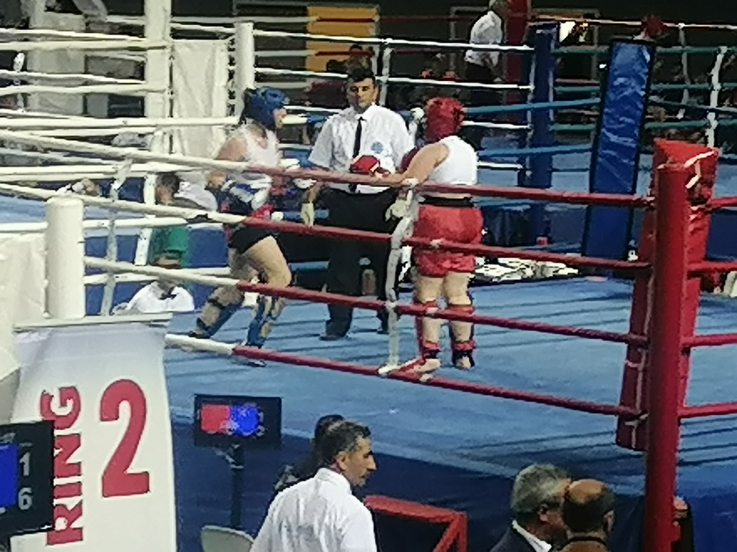 Рисунок телефона. Фотограф Екатерина Веденина