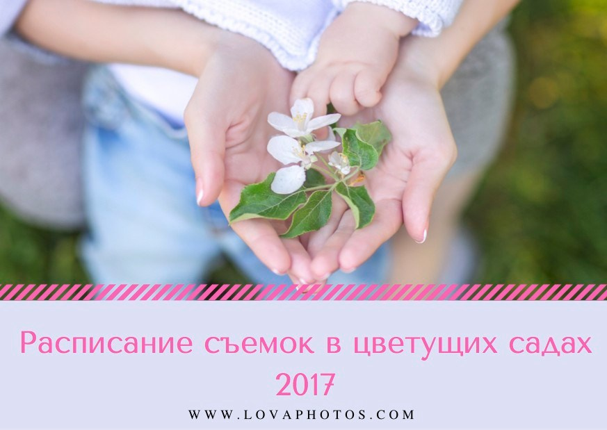 Расписание съемок в цветущих садах 2017. Детский и семейный фотограф в Москве Катерина Орлова