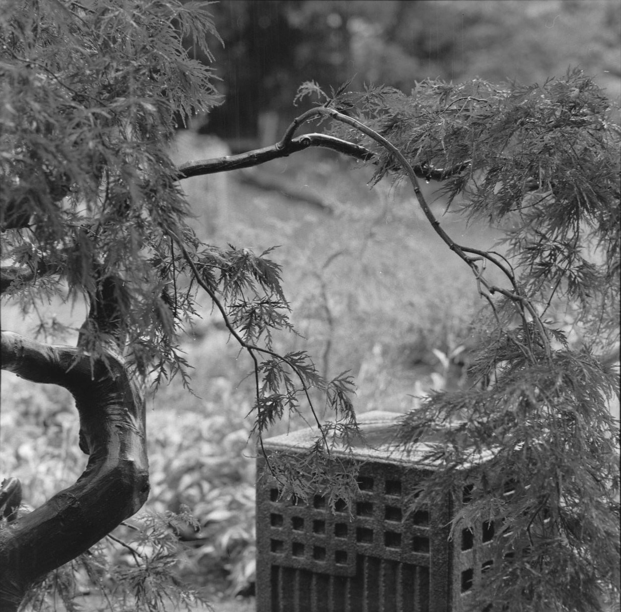 Film meditations. Ekaterina Shikhanova