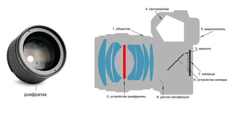 Занятие № 2. FOTOFAQ SKOOL г. Санкт-Петербург: очные, дистанционные и онлайн курсы фотографии