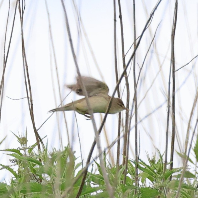 Большой уикенд. Суббота
