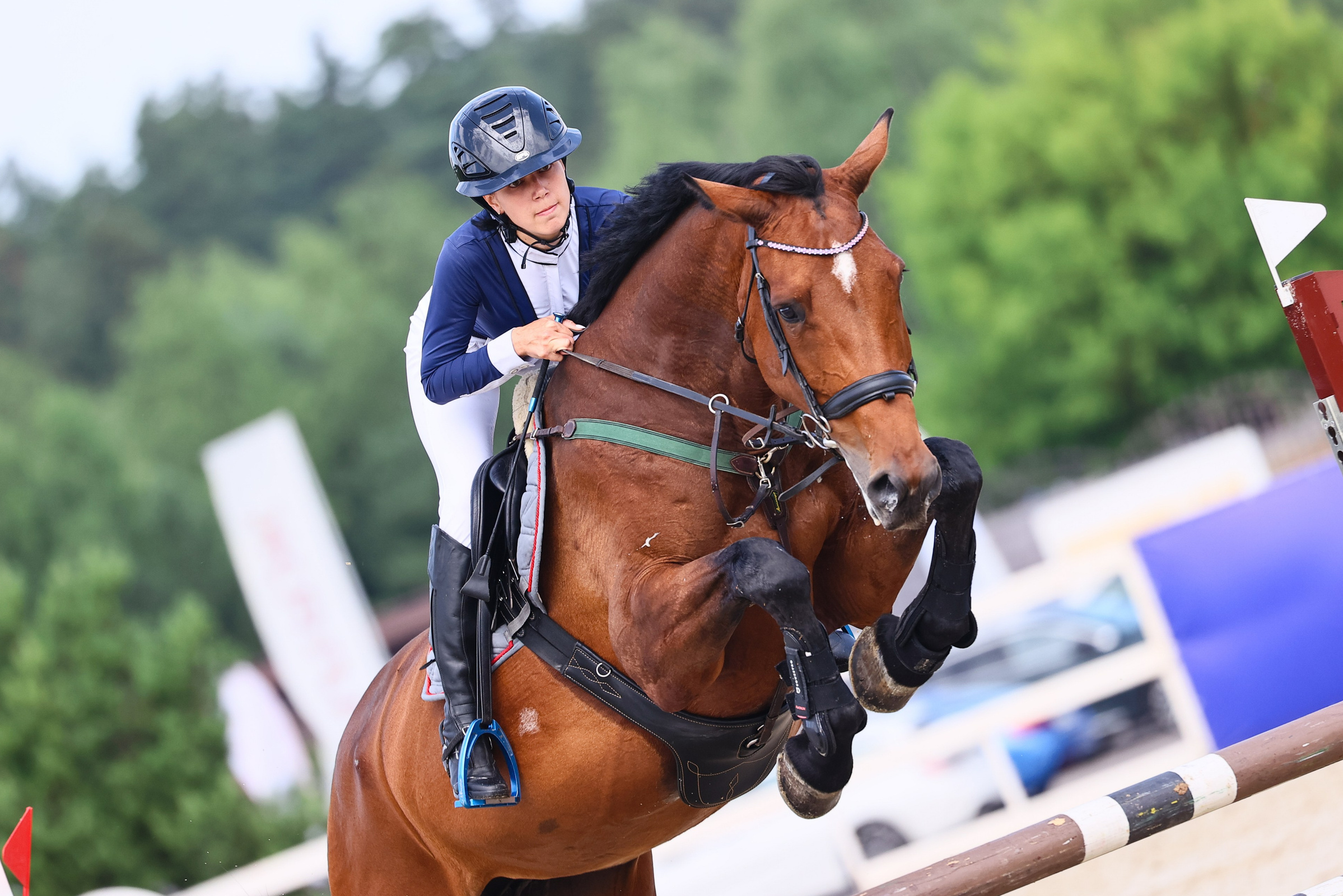 Купить фотографии с турниров. KatymartArt — Equine photography