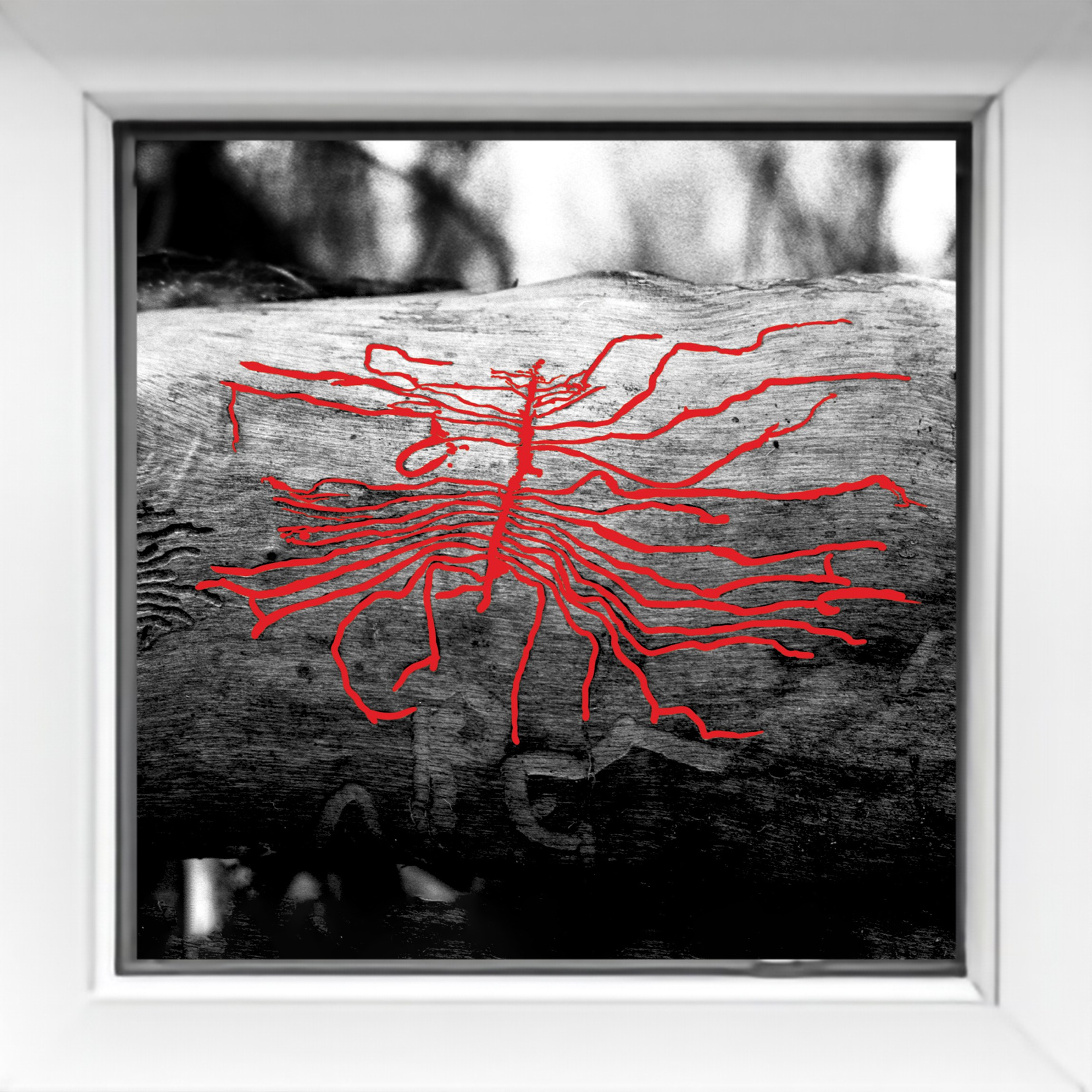 Выставки. KRUS group