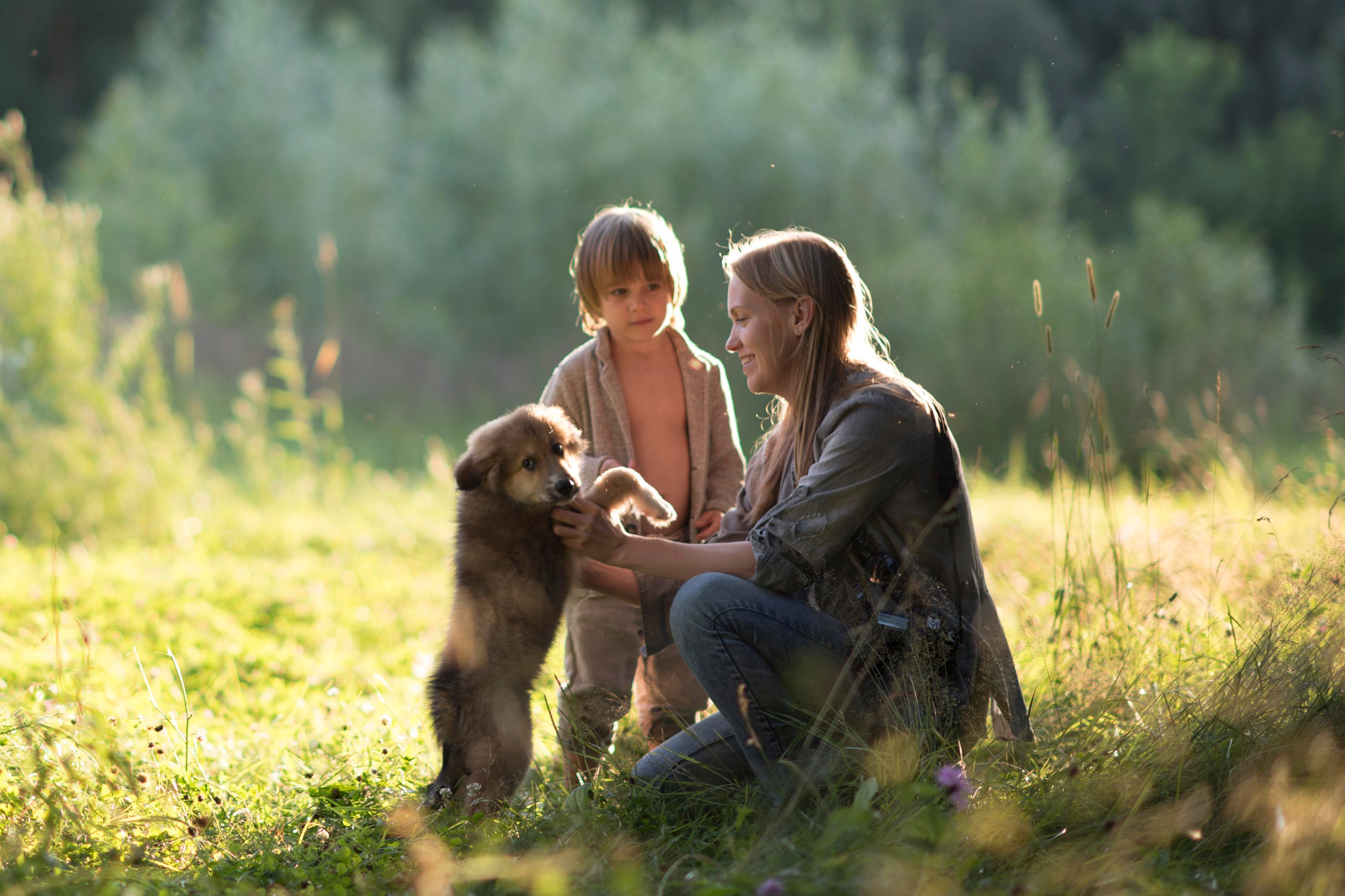 Авторский онлайн курс. Елена Шумилова