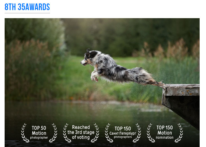 8TH 35AWARDS. Оглашение результатов. ФОТОГРАФ-АНИМАЛИСТ l LANA POLYAKOVA