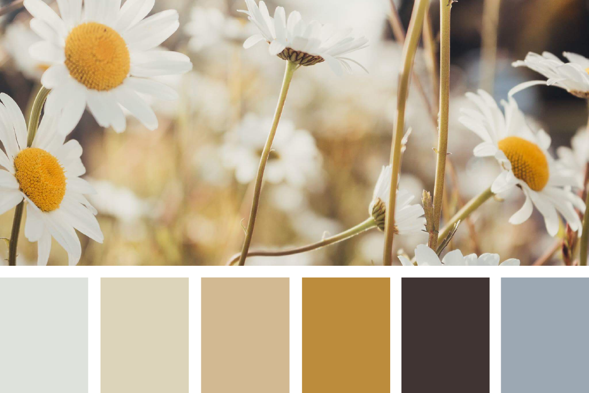 Локации и их цветовые гармонии. Степанова Анна.Детский и семейный фотограф Крым