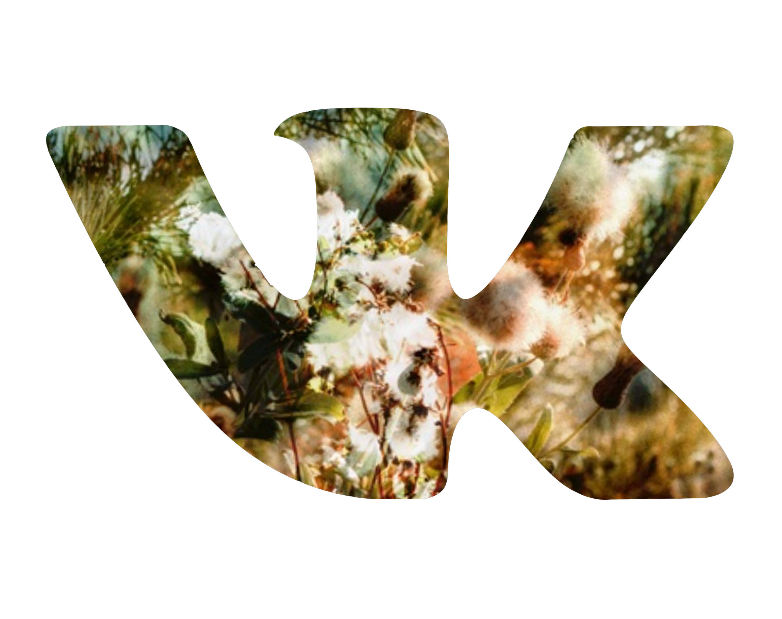 Услуги. Фотограф Кемерово I Ростислав Поддубный