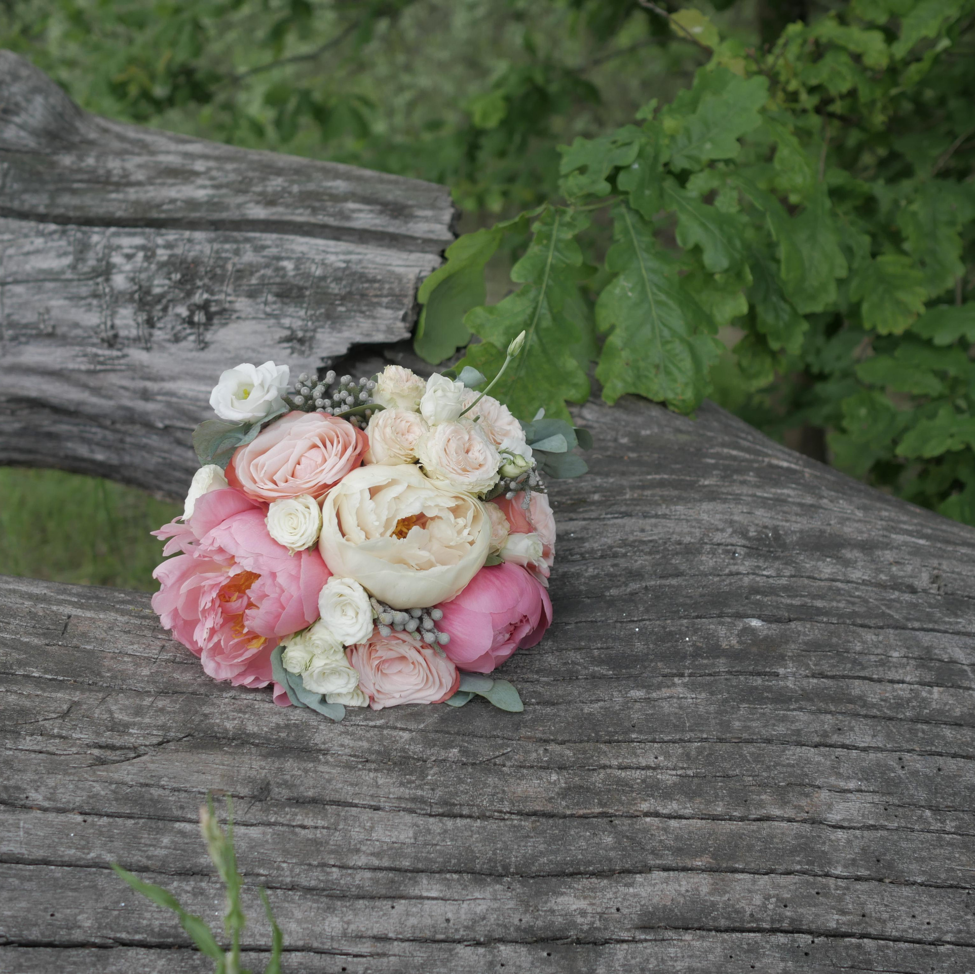 Видеосъемка, аэросъемка Гомель Дмитрий и Наталья Нечаевы