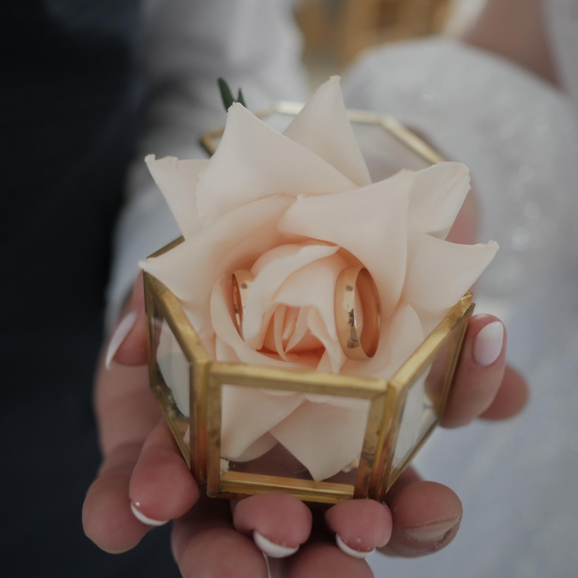 Видеосъемка, аэросъемка Гомель Дмитрий и Наталья Нечаевы