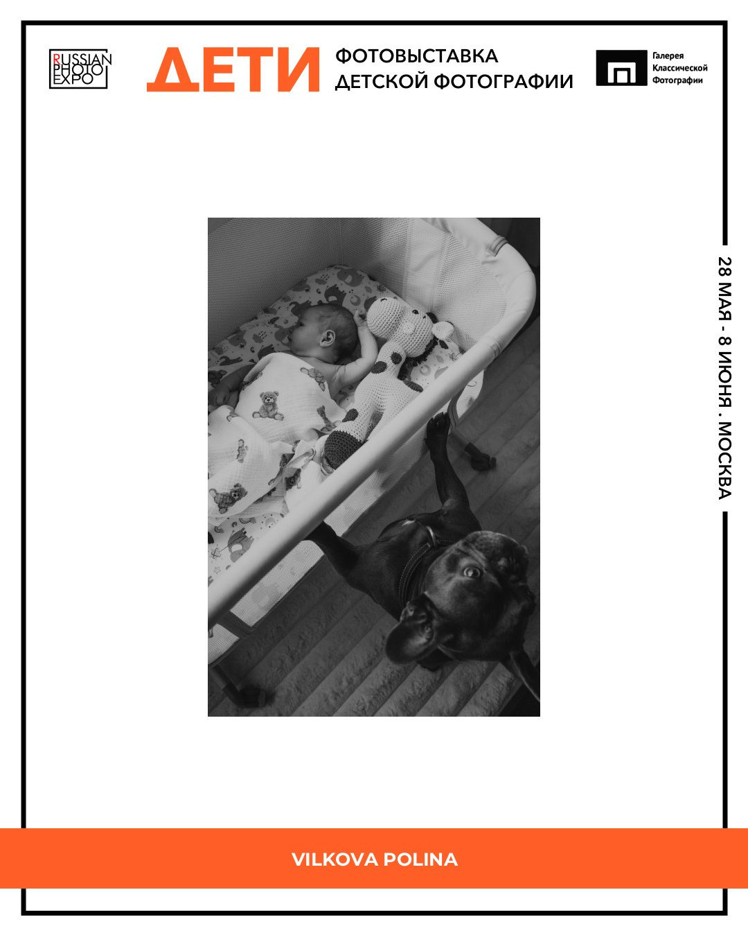 Exhibitions & Movie. Polina Vilkova