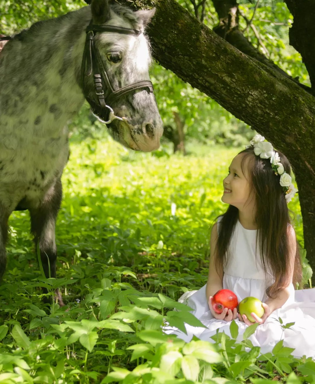 Фотограф с лошадьми в Москве