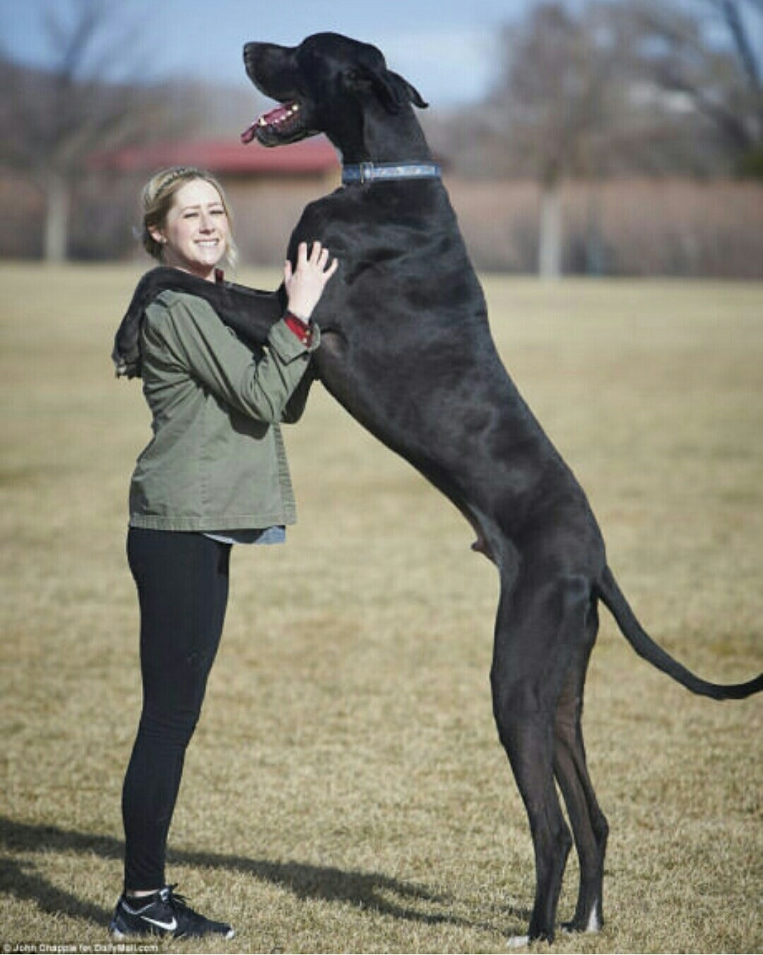 ПЛАН ДЕЙСТВИЙ НА ФОТОСЕССИИ ДЛЯ ВСЕХ УЧАСТНИКОВ