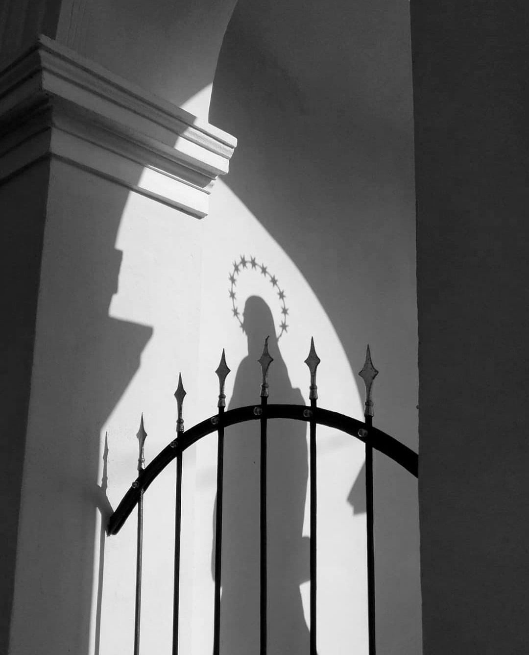 Устинов Глеб. Организация фотовыставок в Петербурге и Москве, MFamilia (МФамилия)