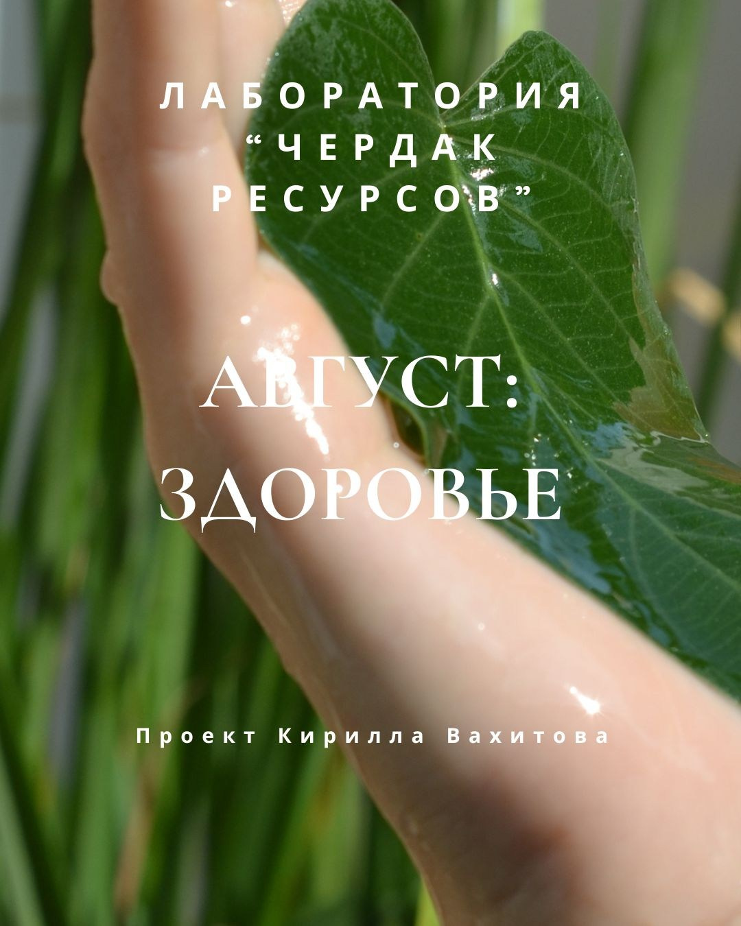 Записи вебинаров лаборатории «Чердак ресурсов». Психолог Кирилл Вахитов