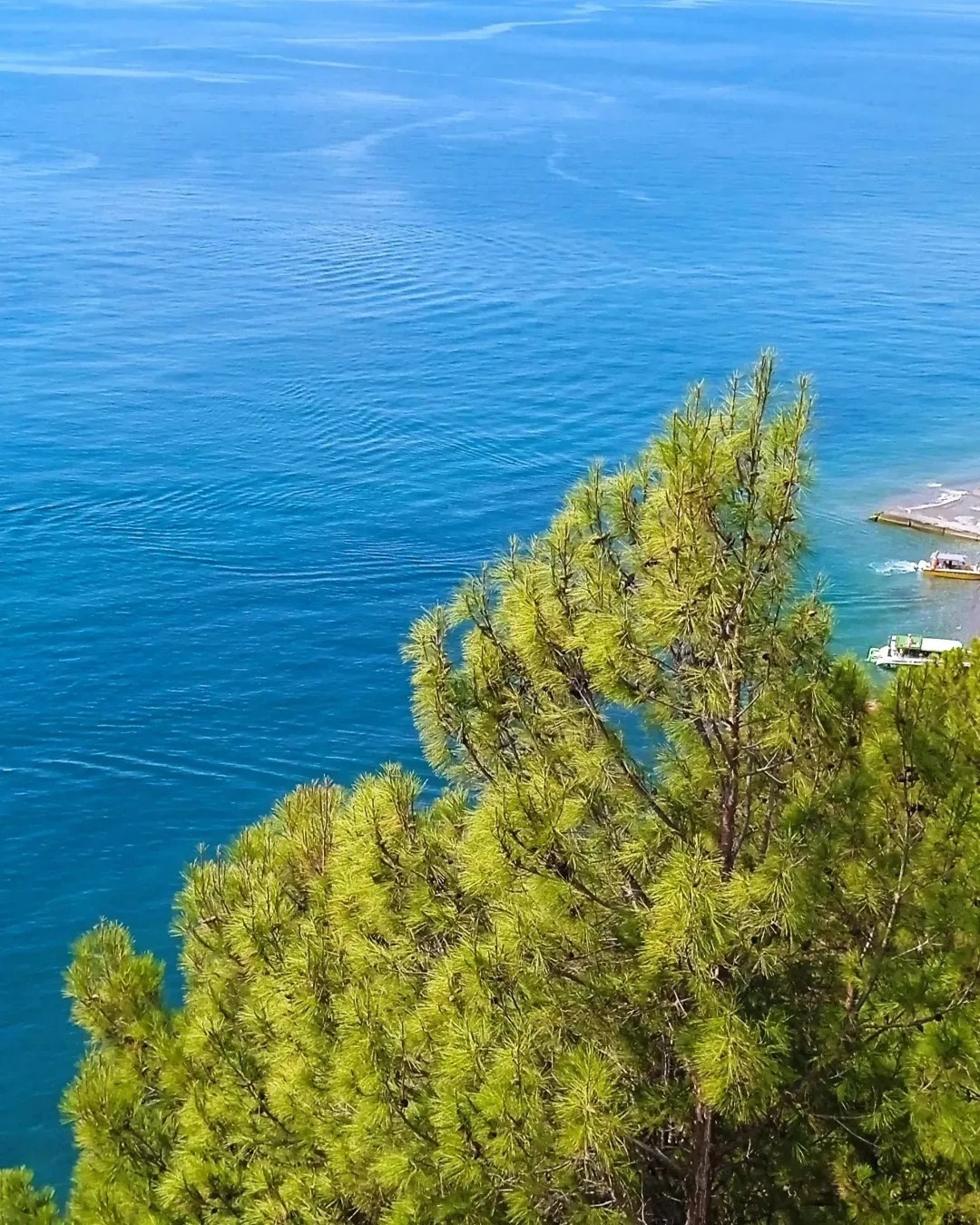 Профессиональный свадебный фотограф в Сочи для вашего идеального дня. Свадебный фотограф в Абхазии, Сухум, Гагра, Сочи