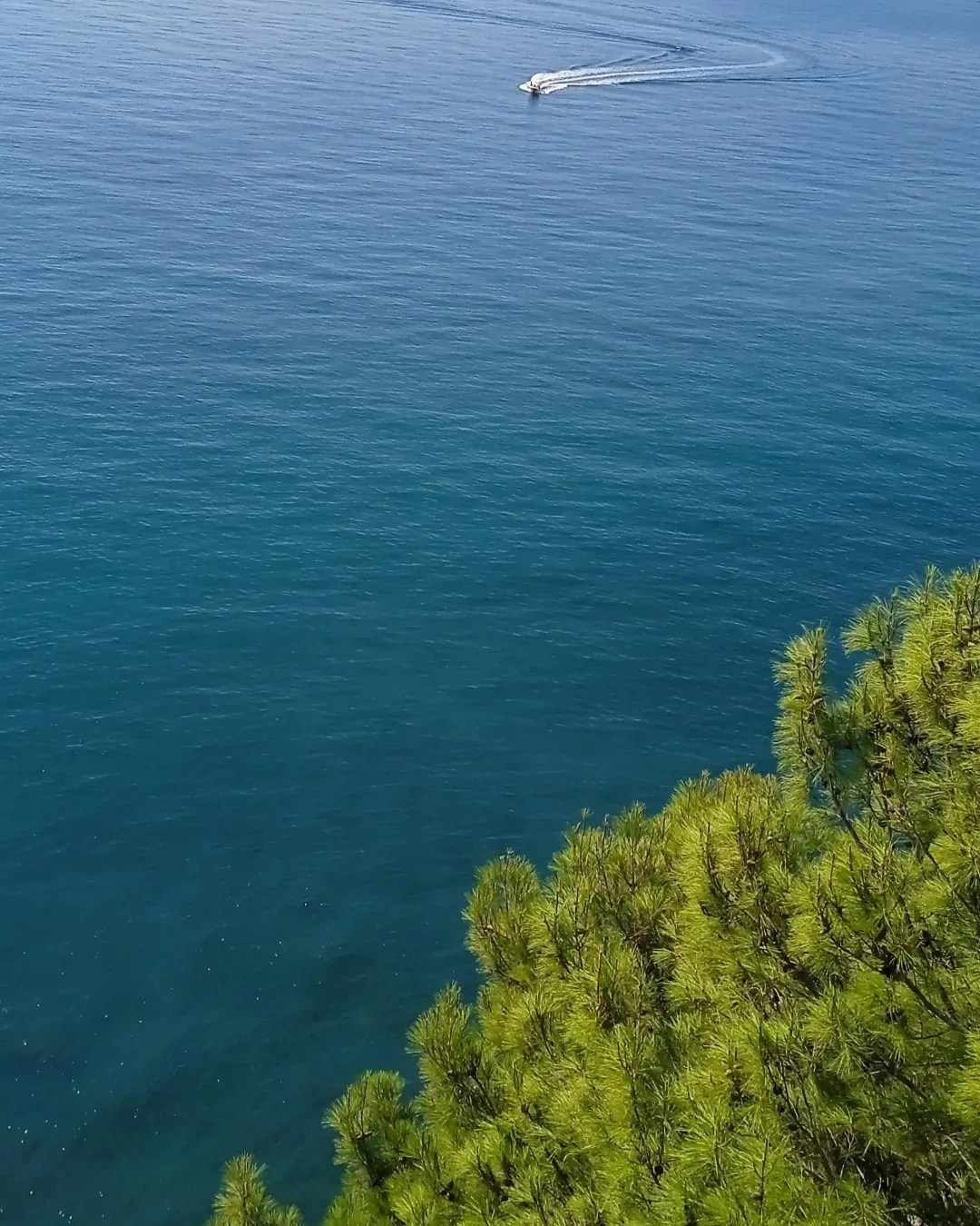 Профессиональный свадебный фотограф в Сочи для вашего идеального дня. Свадебный фотограф в Абхазии, Сухум, Гагра, Сочи