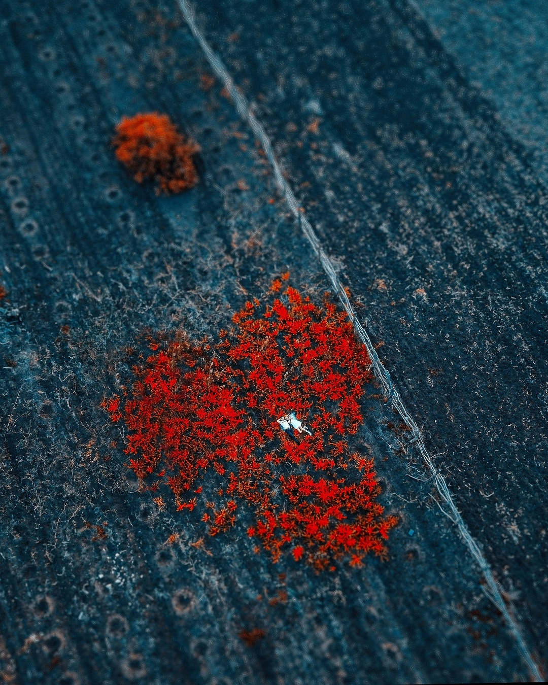 Топ-20 мест для фотосессии в Астрахани. Wedding photographer