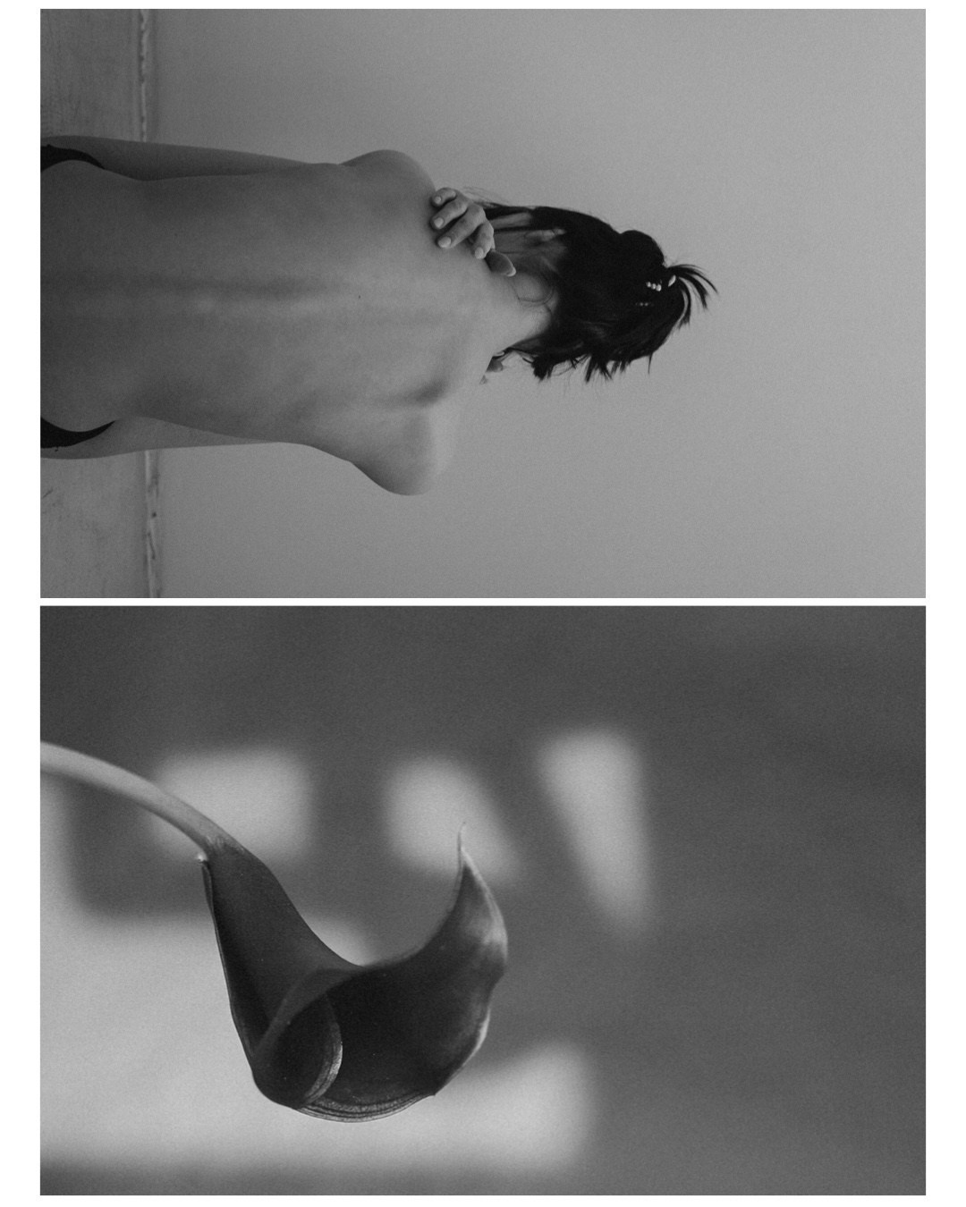 Стоимость. Главная