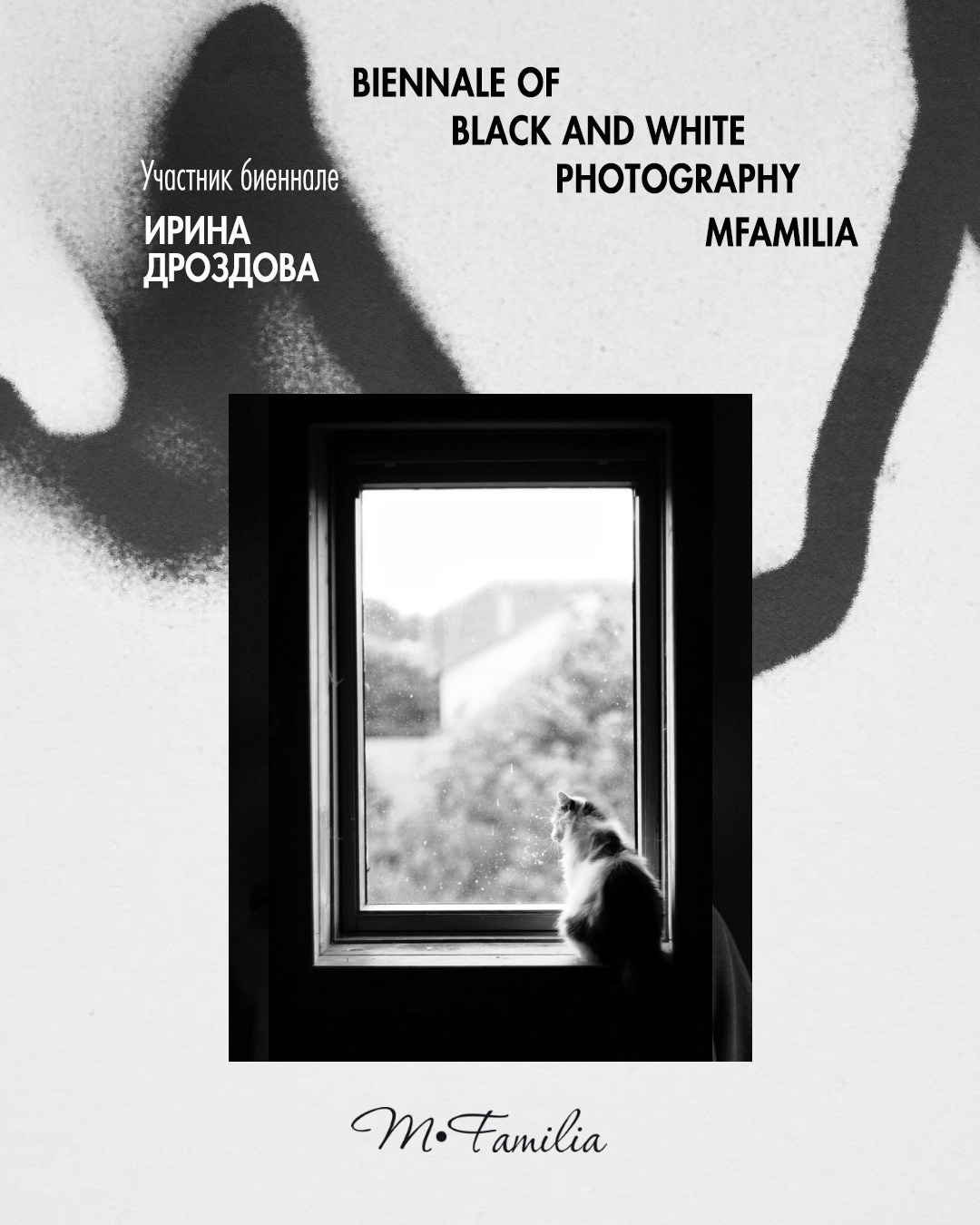 Дроздова Ирина. Организация фотовыставок в Петербурге и Москве, MFamilia (МФамилия)