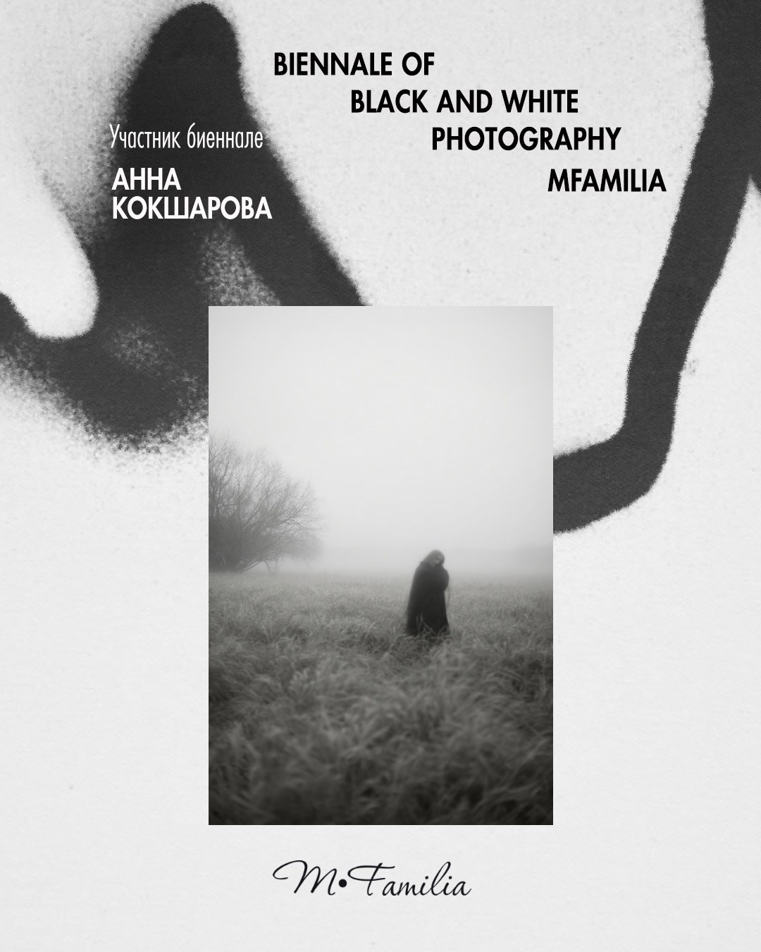 Кокшарова Анна. Организация фотовыставок в Петербурге и Москве, MFamilia (МФамилия)