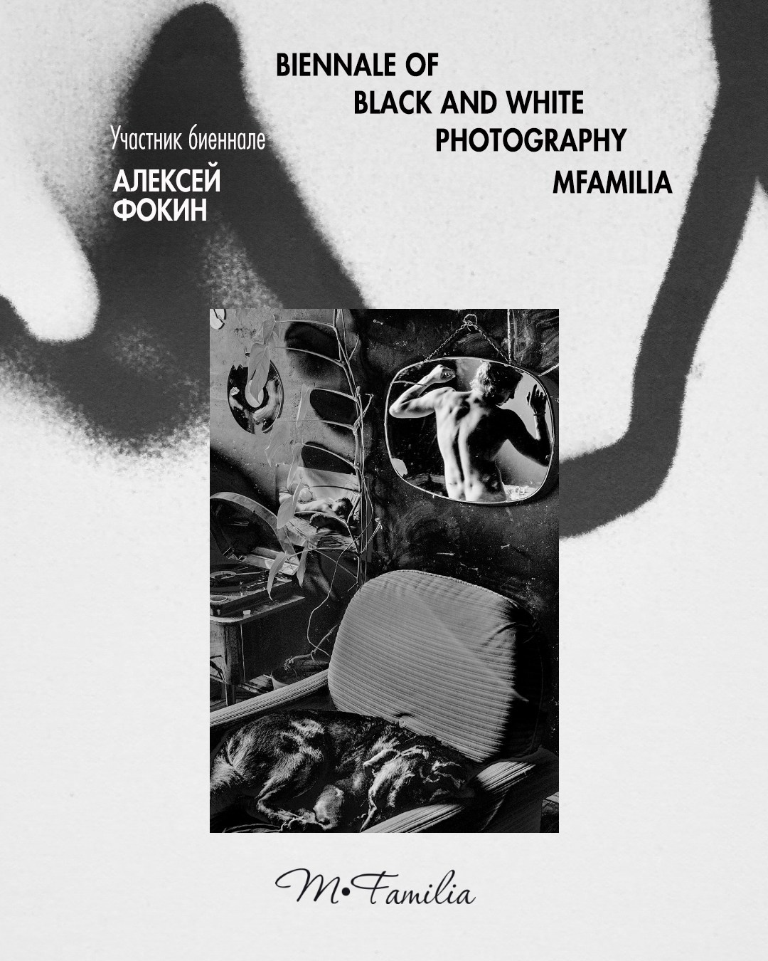 Фокин Алексей. Организация фотовыставок в Петербурге и Москве, MFamilia (МФамилия)