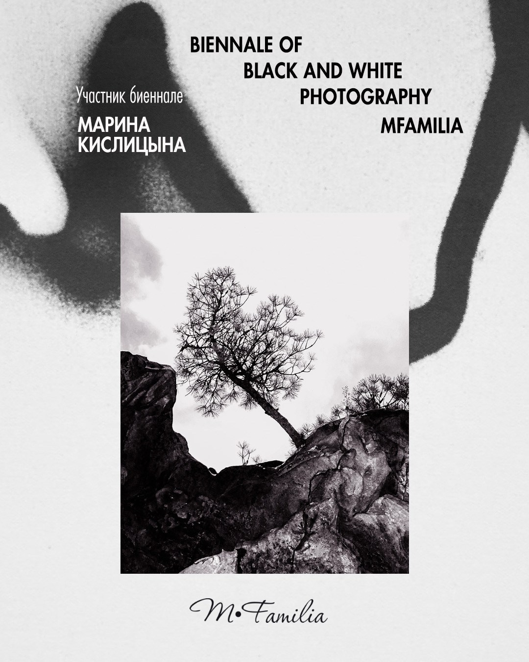 Фотограф Кислицына Марина. Организация фотовыставок в Петербурге и Москве, MFamilia (МФамилия)
