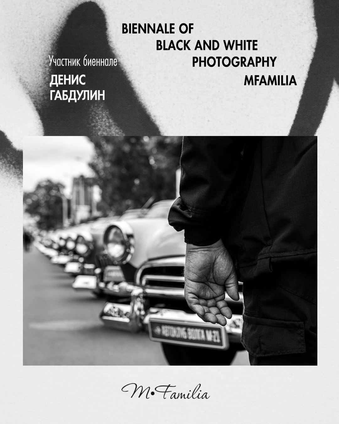 Габдулин Денис. Организация фотовыставок в Петербурге и Москве, MFamilia (МФамилия)