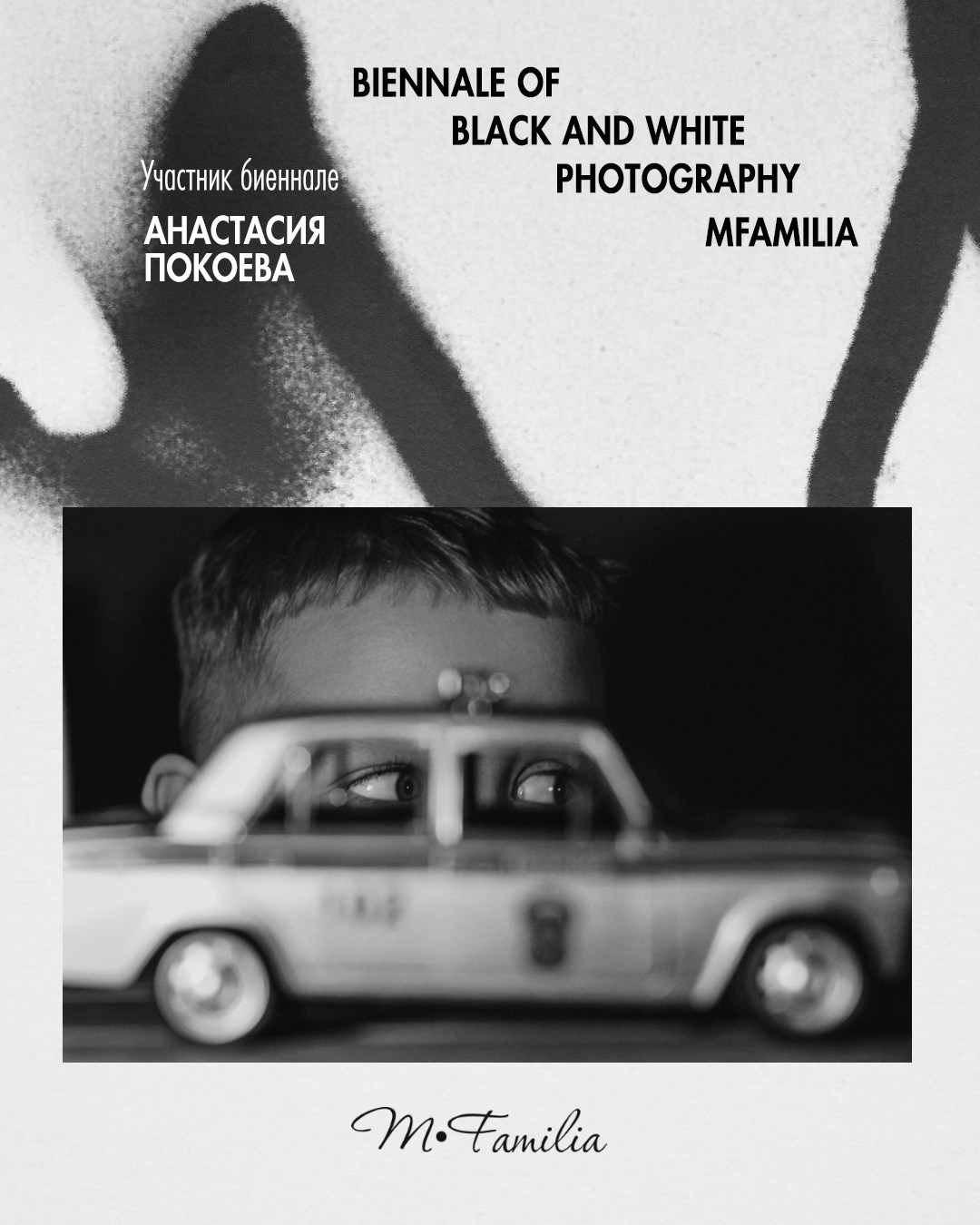 Покоева Анастасия. Организация фотовыставок в Петербурге и Москве, MFamilia (МФамилия)