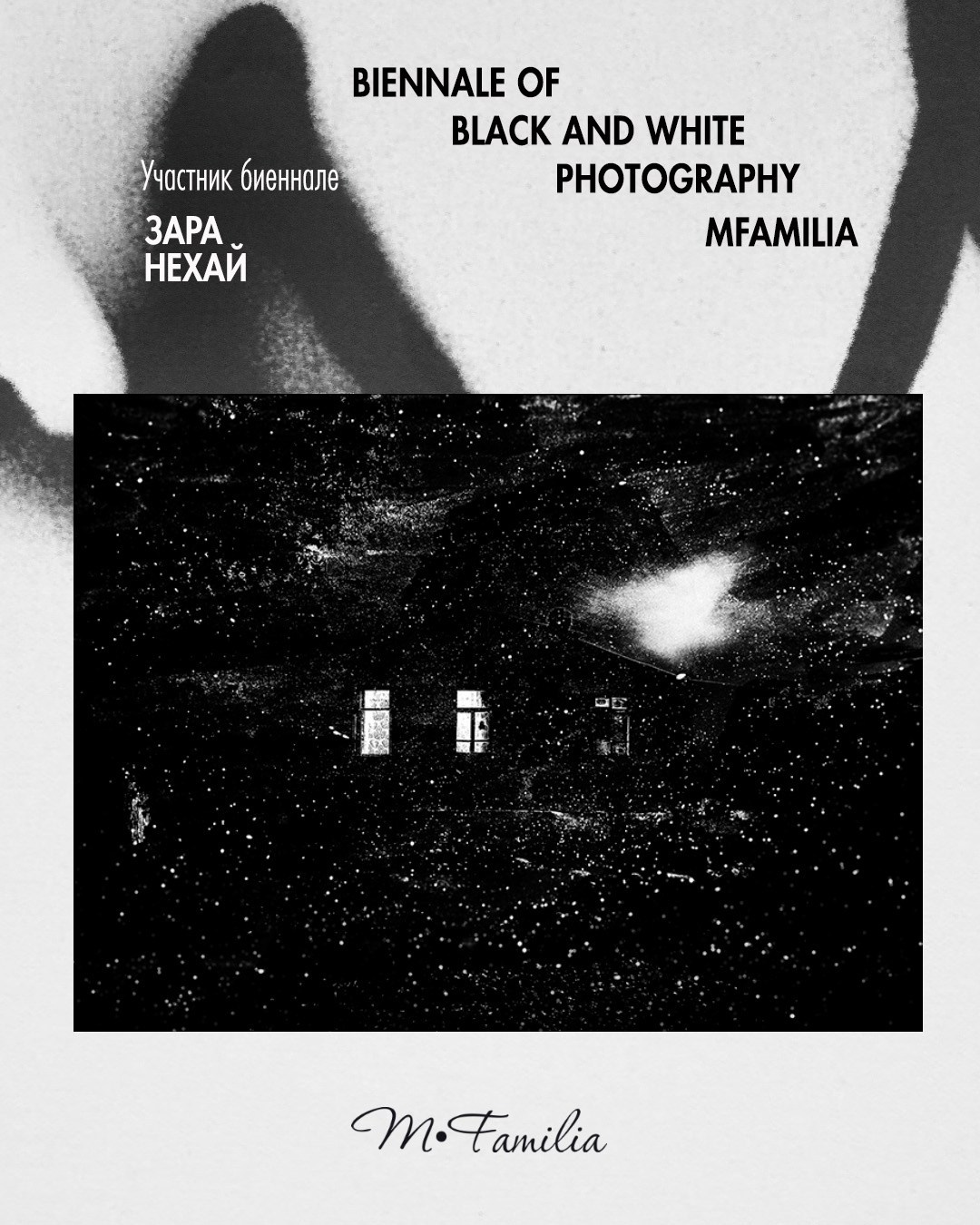 Нехай Зара. Организация фотовыставок в Петербурге и Москве, MFamilia (МФамилия)