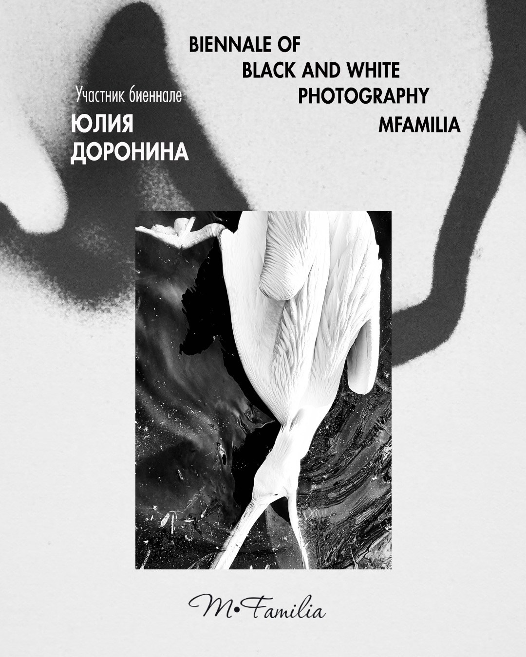 Доронина Юлия. Организация фотовыставок в Петербурге и Москве, MFamilia (МФамилия)