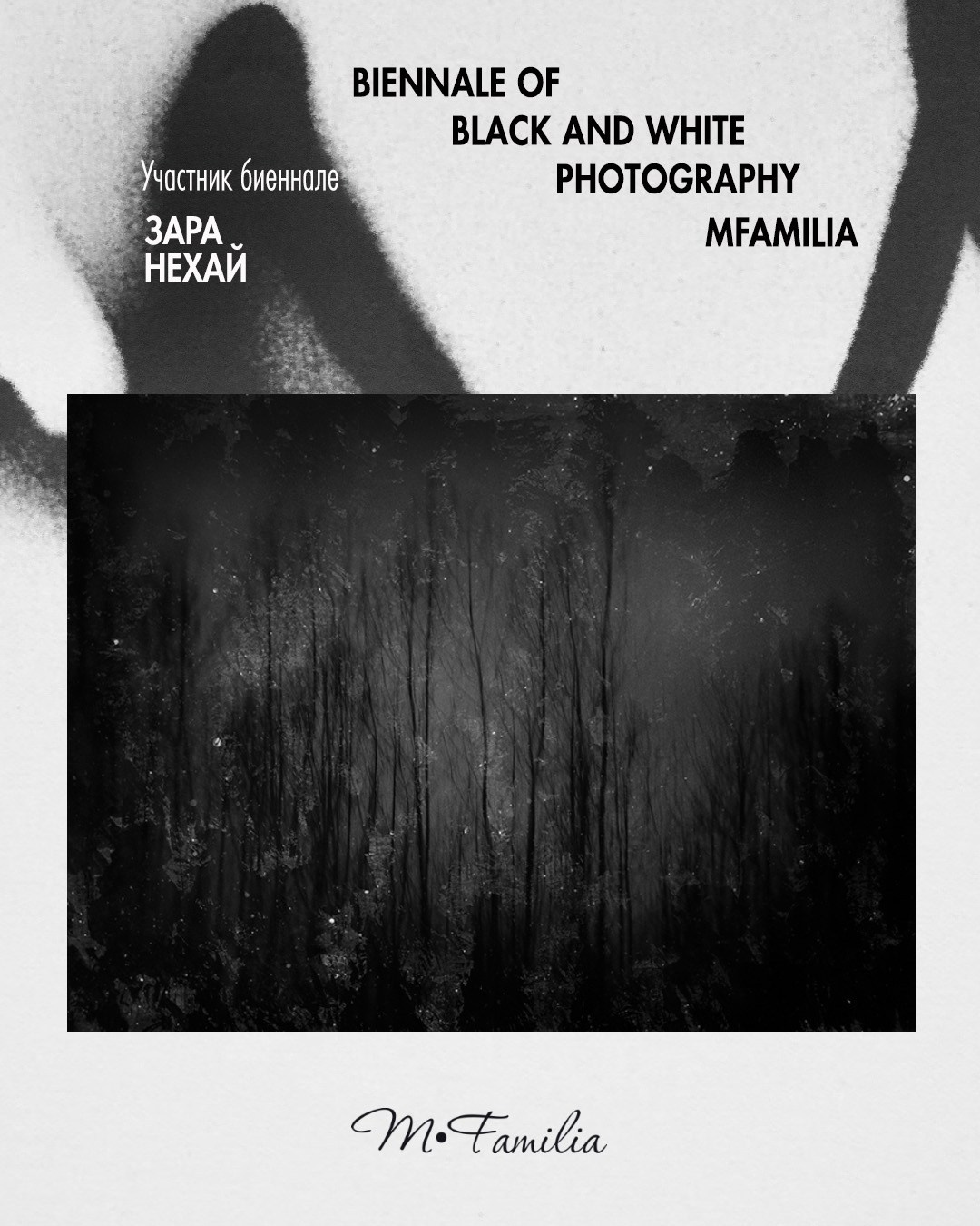 Нехай Зара. Организация фотовыставок в Петербурге и Москве, MFamilia (МФамилия)