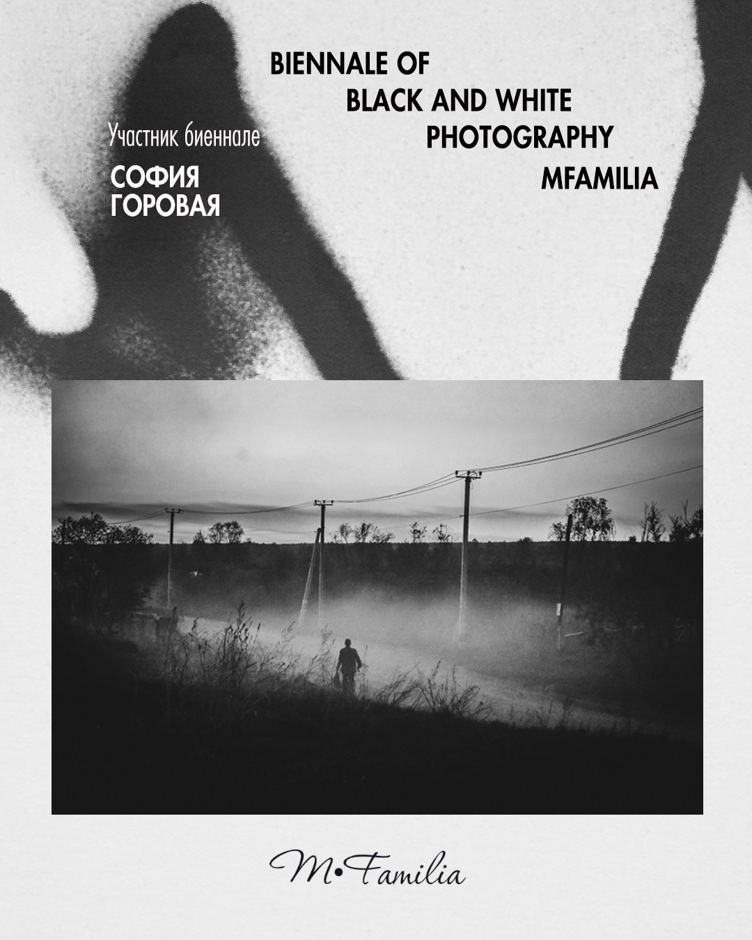 Горовая София. Организация фотовыставок в Петербурге и Москве, MFamilia (МФамилия)