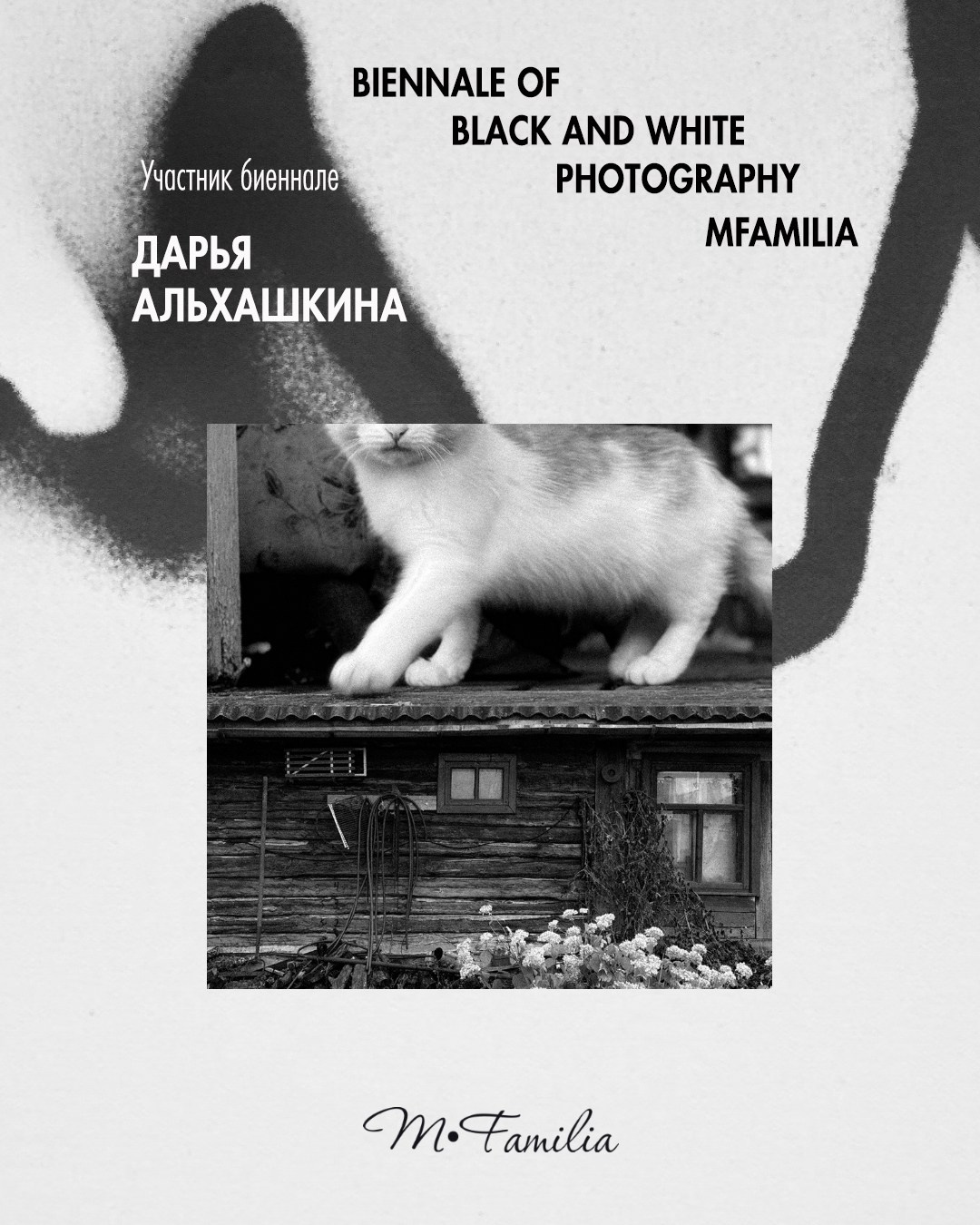 Альхашкина Дарья. Организация фотовыставок в Петербурге и Москве, MFamilia (МФамилия)