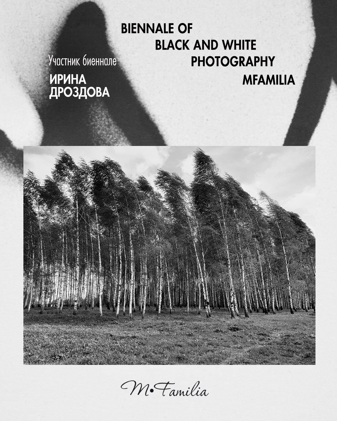 Дроздова Ирина. Организация фотовыставок в Петербурге и Москве, MFamilia (МФамилия)